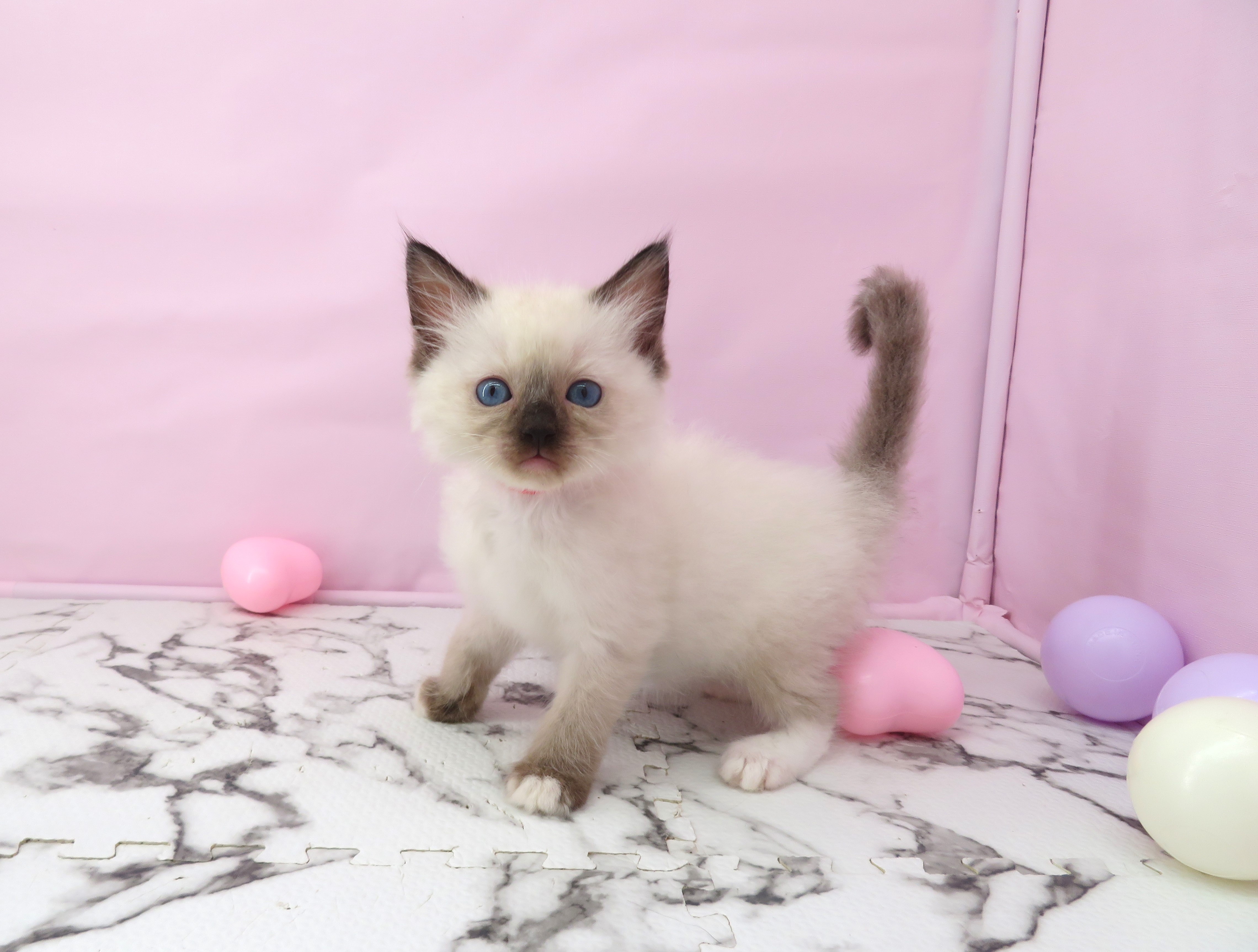 赤ちゃん写真3-2