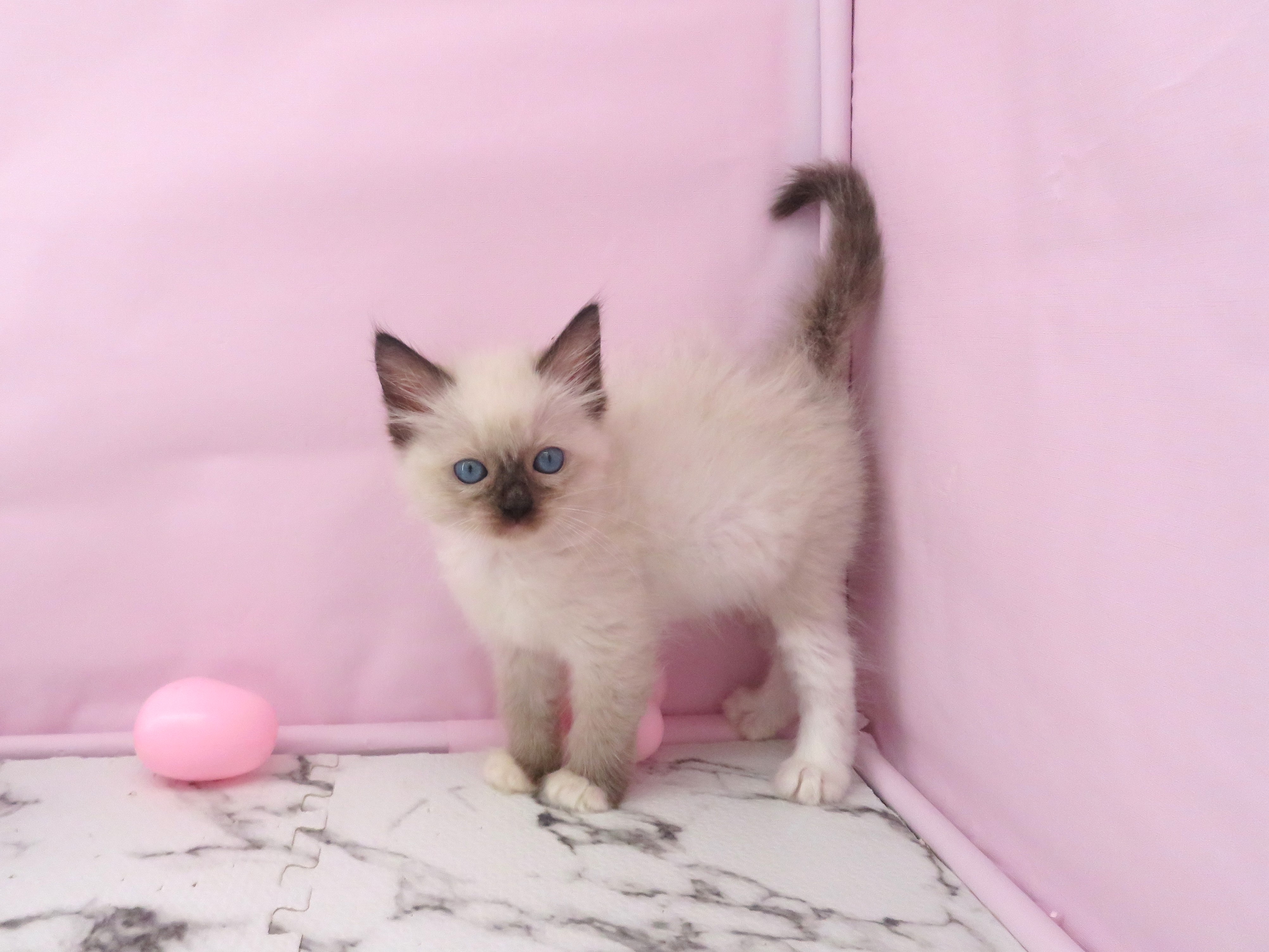 赤ちゃん写真3-2