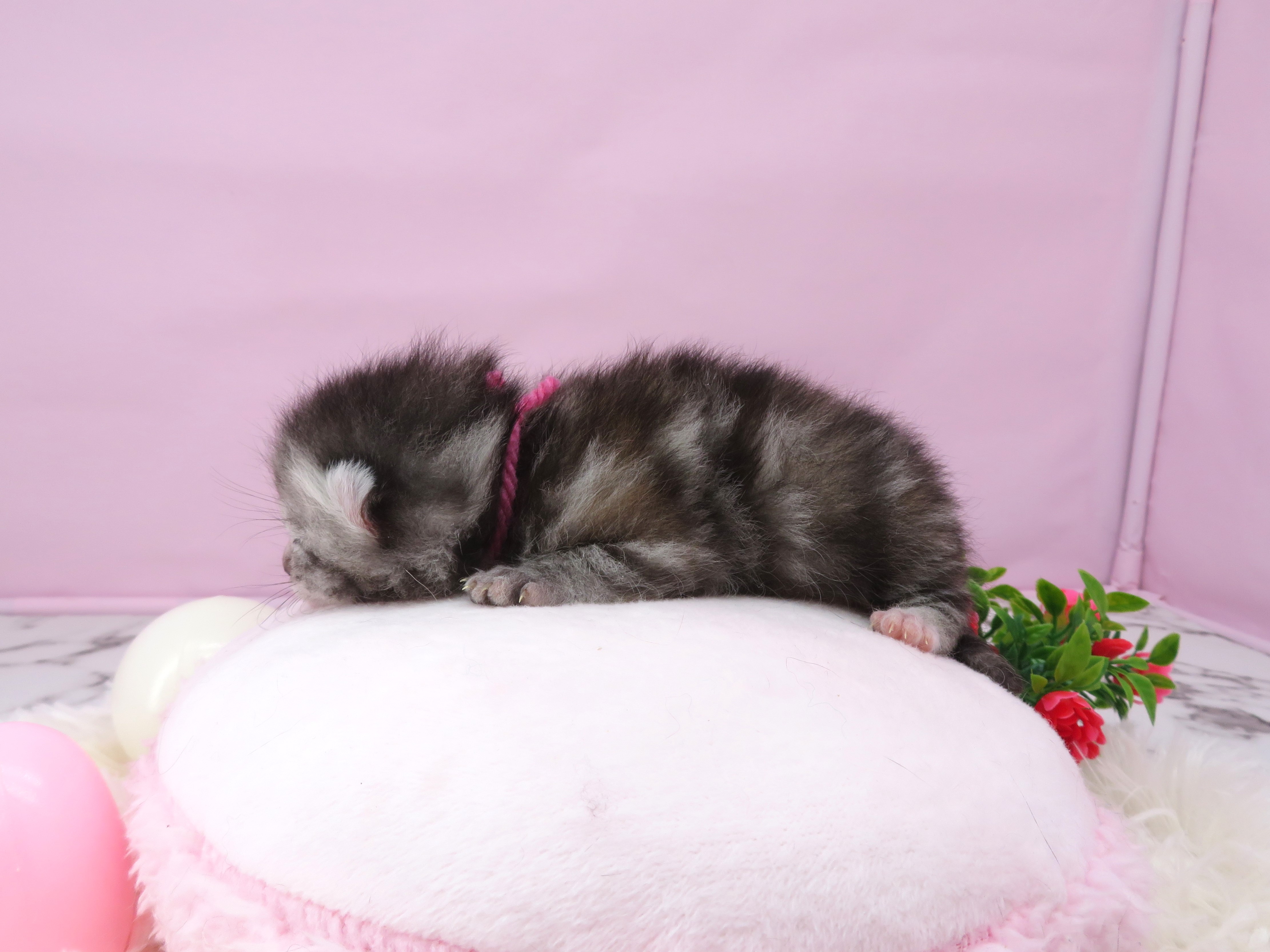 赤ちゃん写真1-2