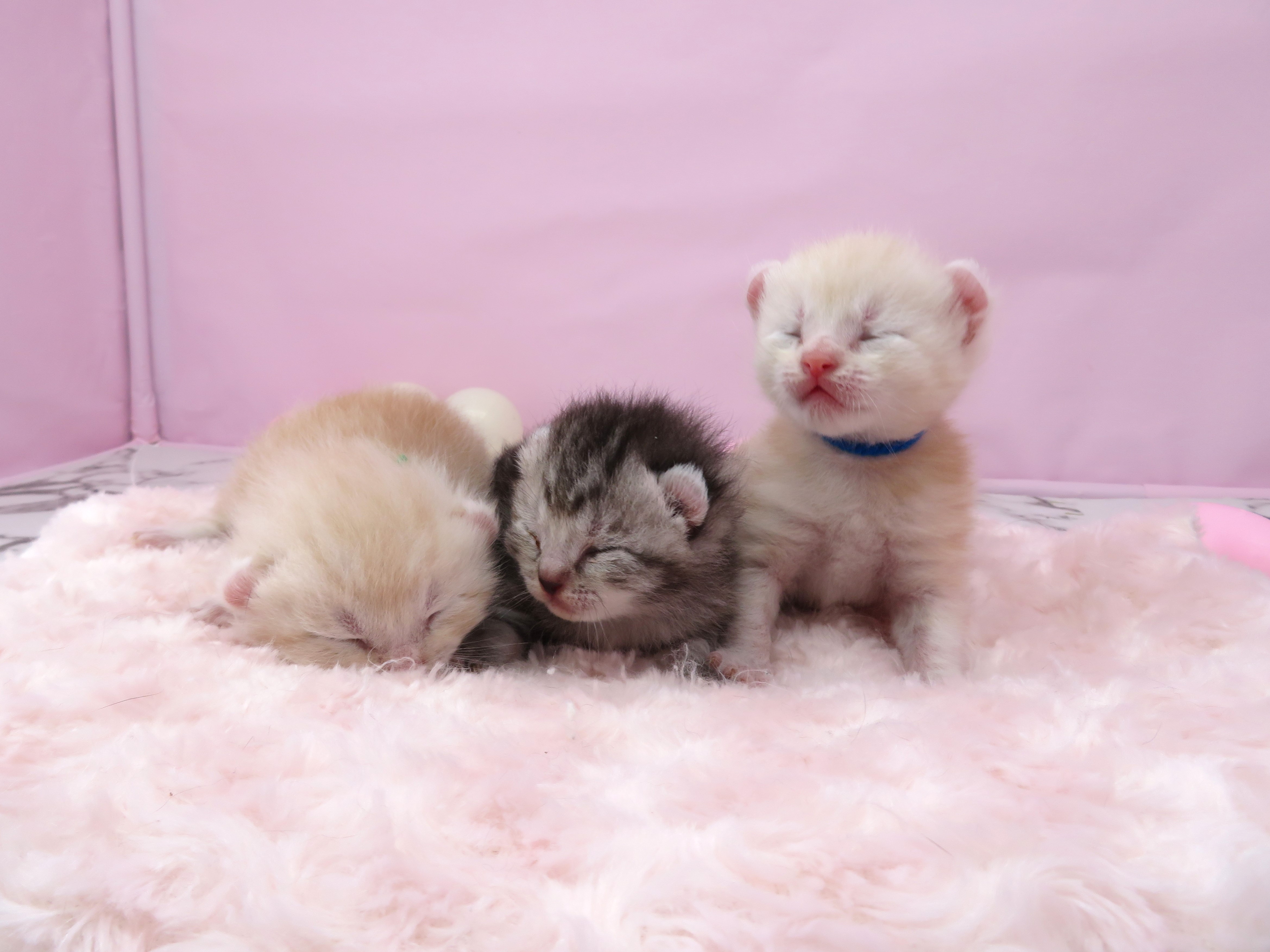 赤ちゃん写真1-3