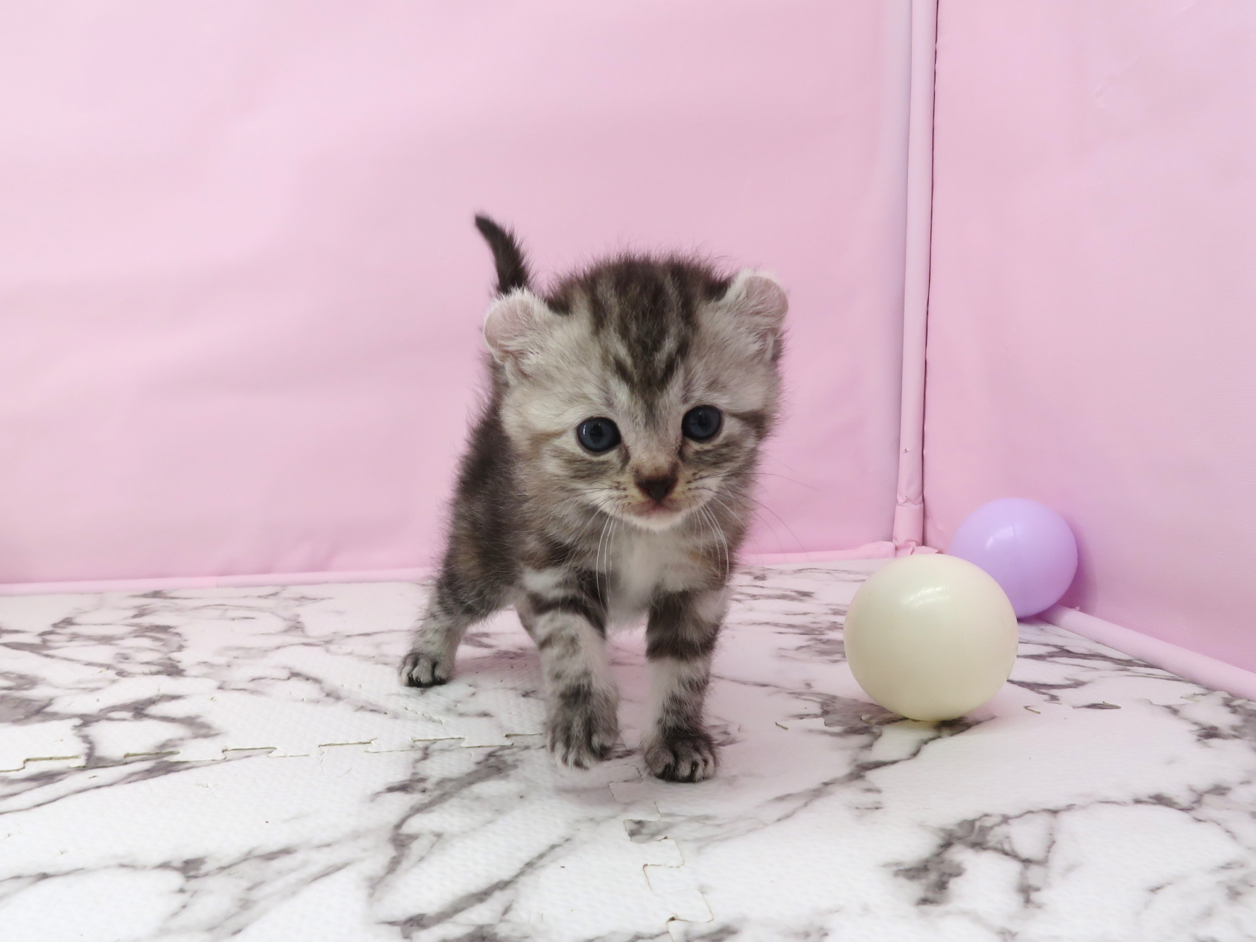 赤ちゃん写真2-1