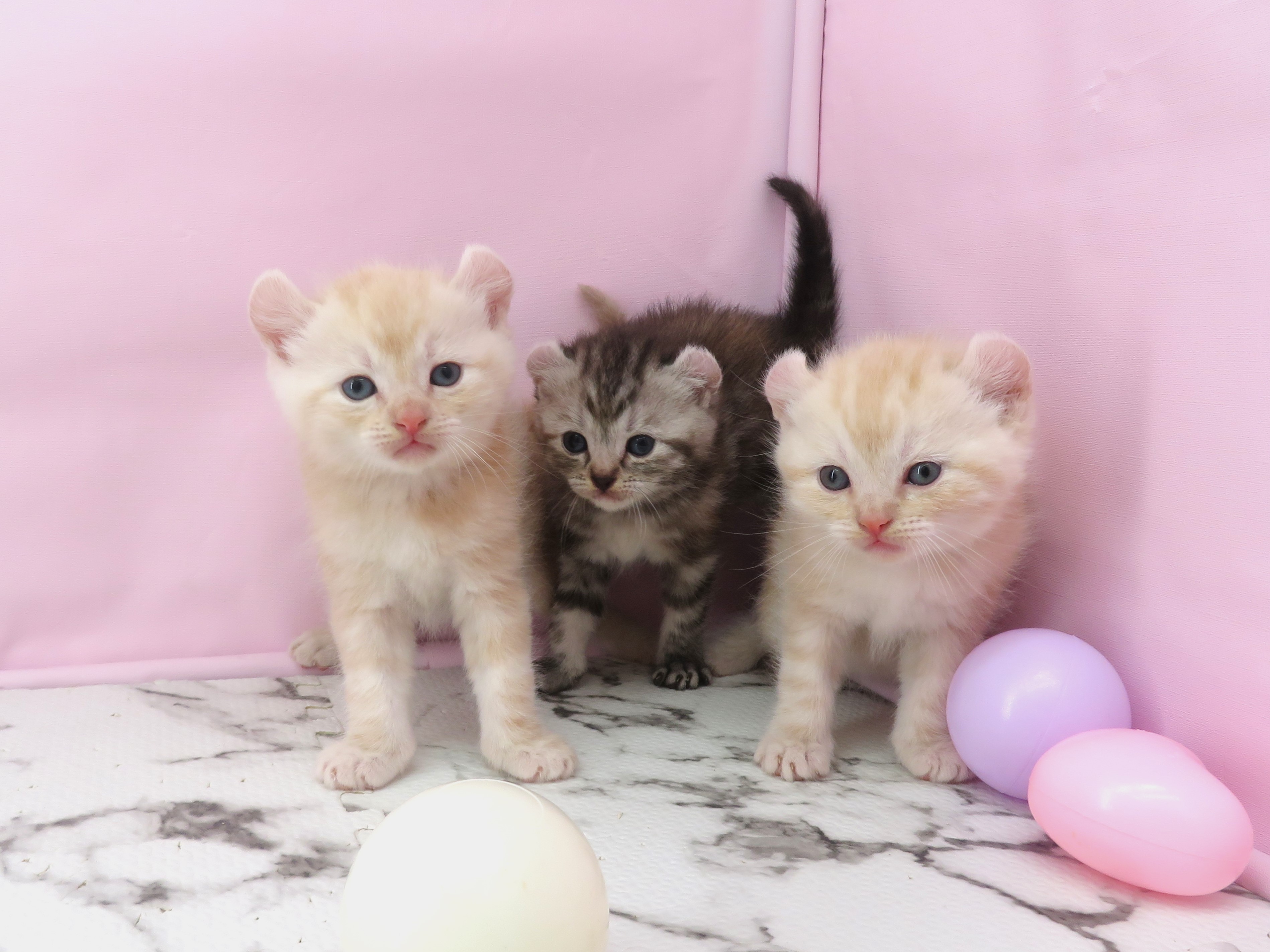 赤ちゃん写真2-3