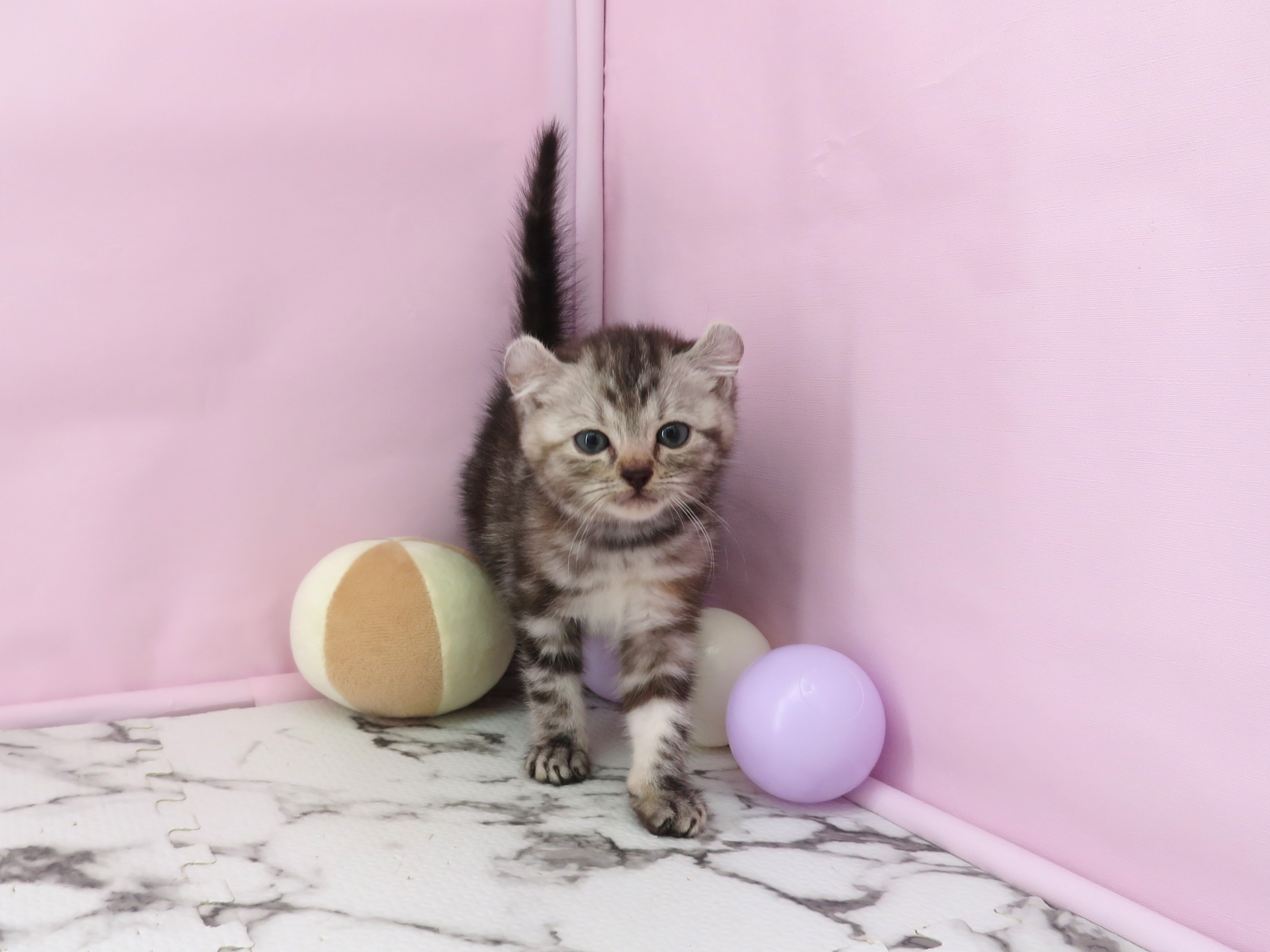 赤ちゃん写真3-1