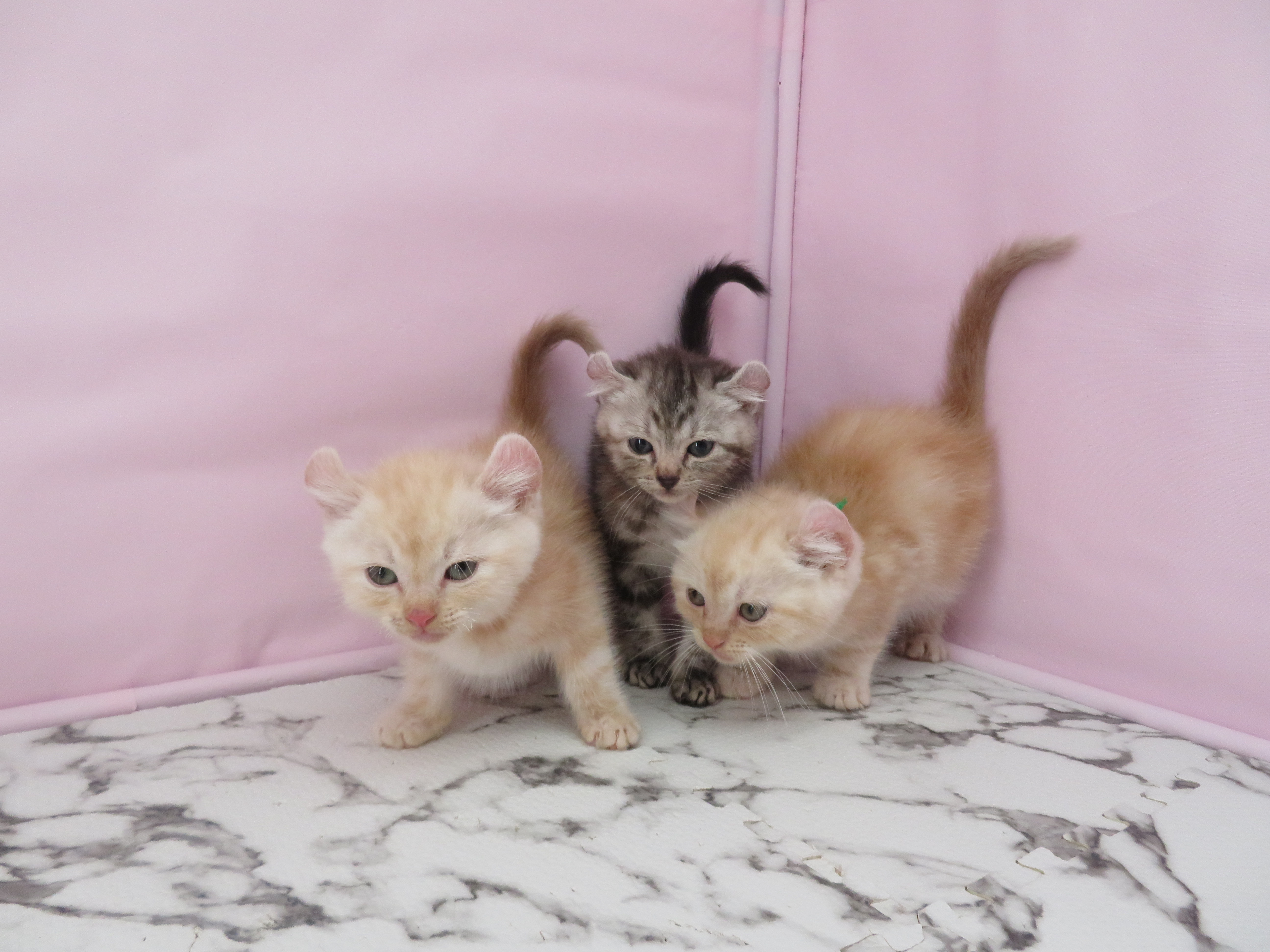 赤ちゃん写真3-3
