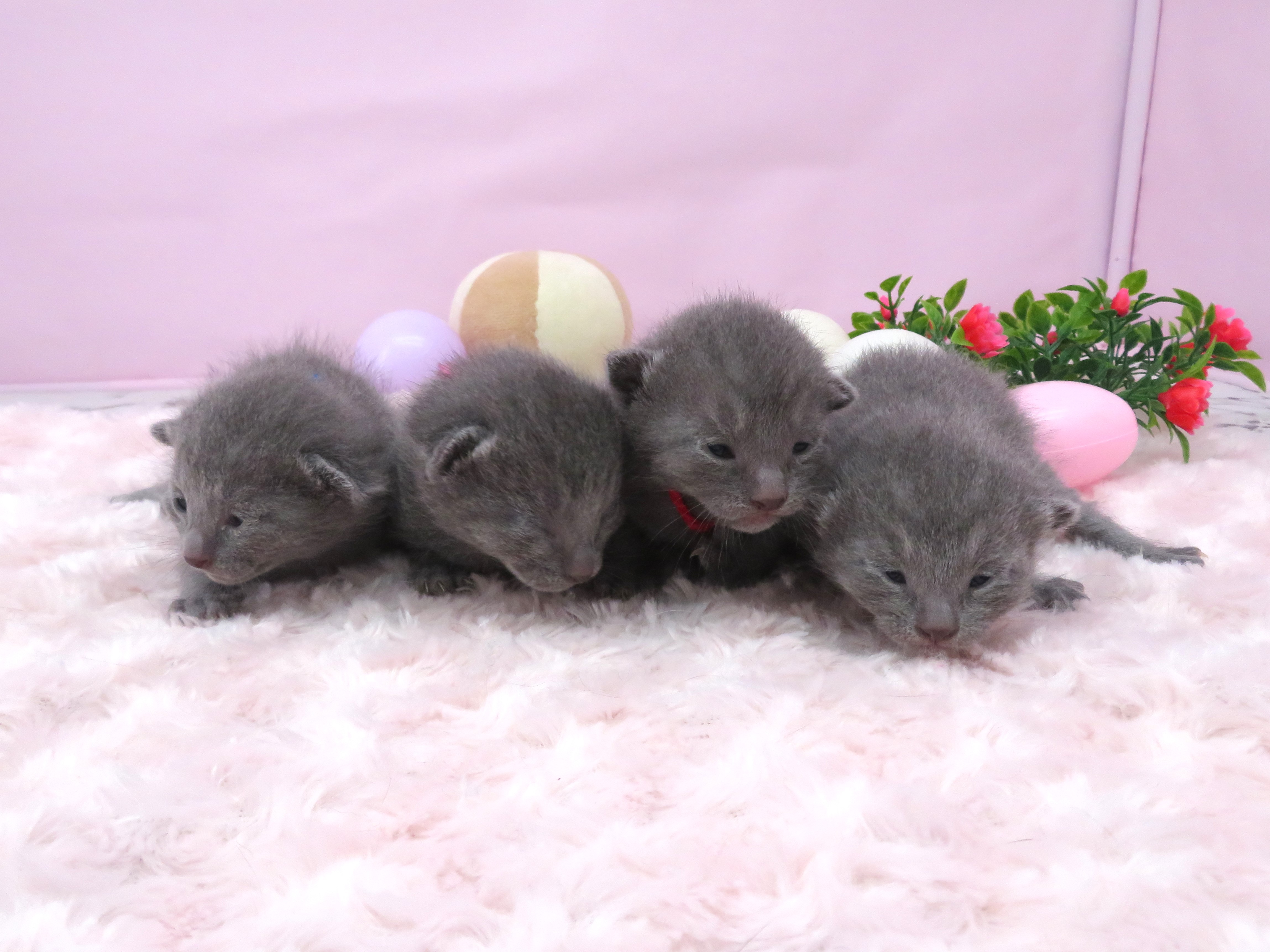 赤ちゃん写真1-3