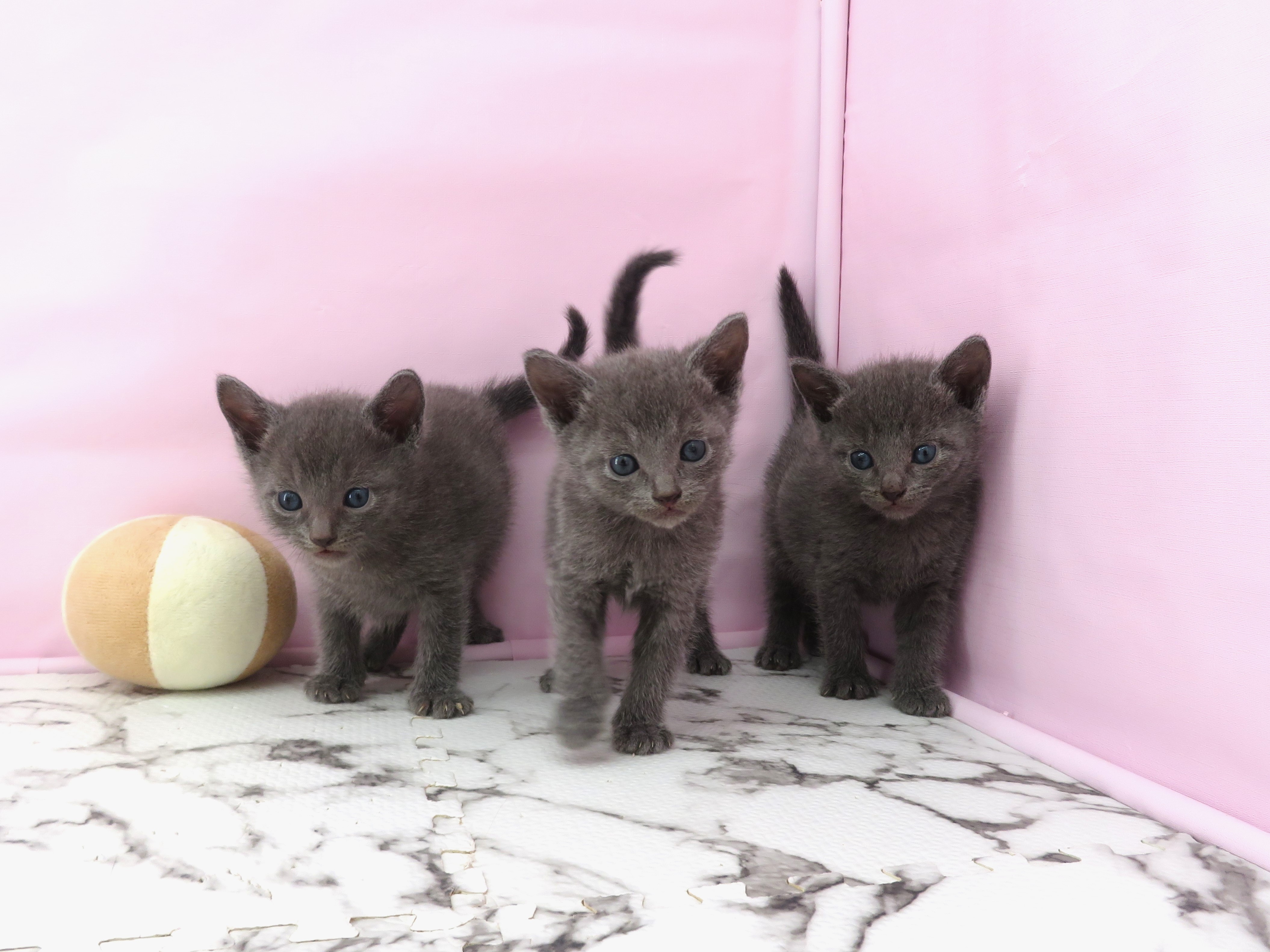 赤ちゃん写真2-3