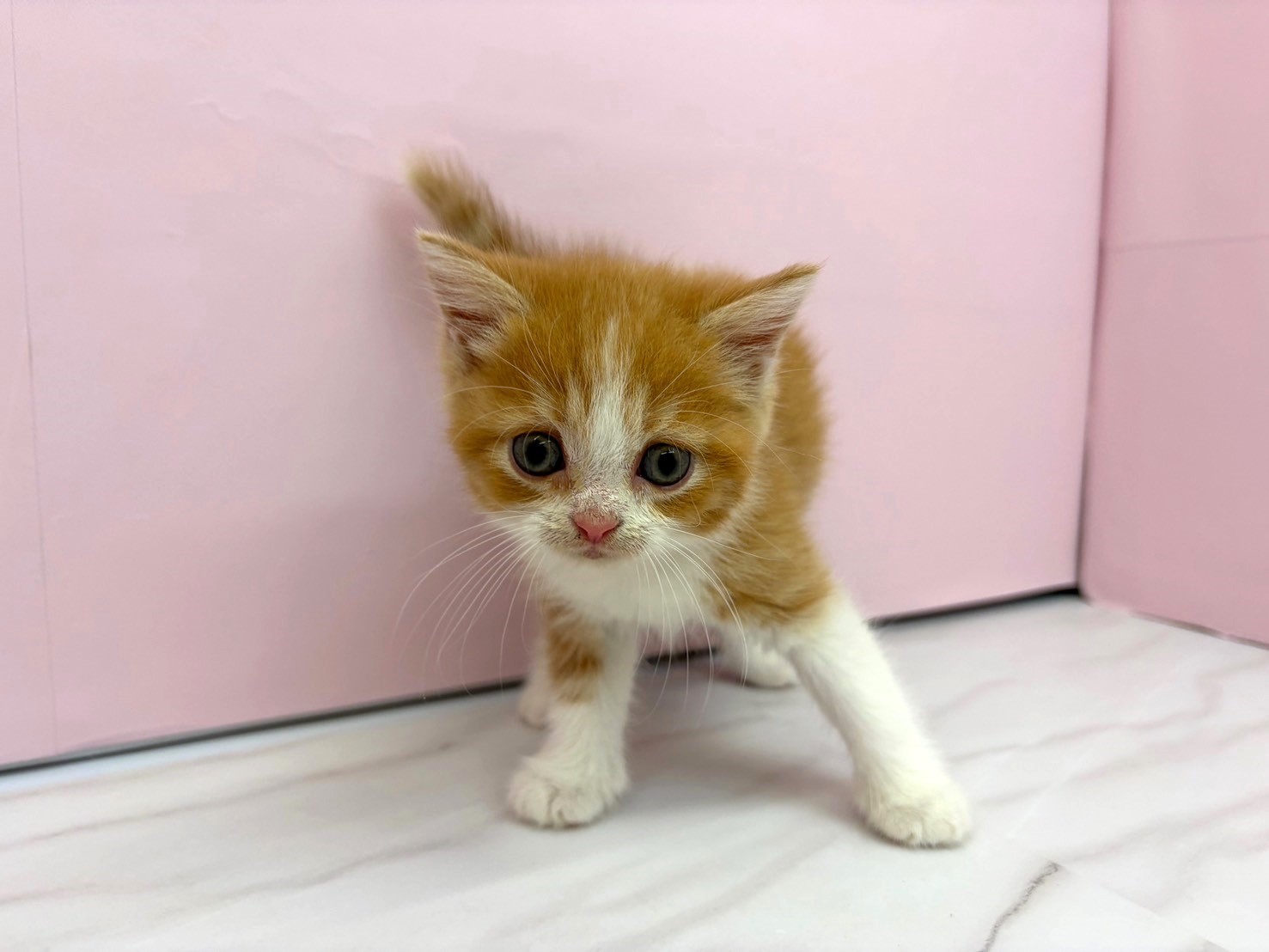 赤ちゃん写真2-1