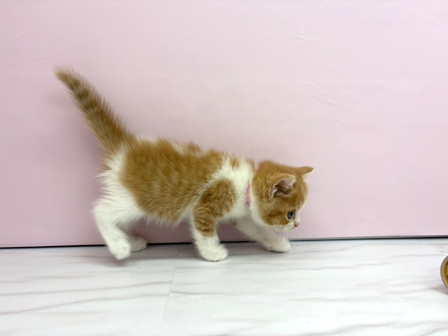 赤ちゃん写真2-2
