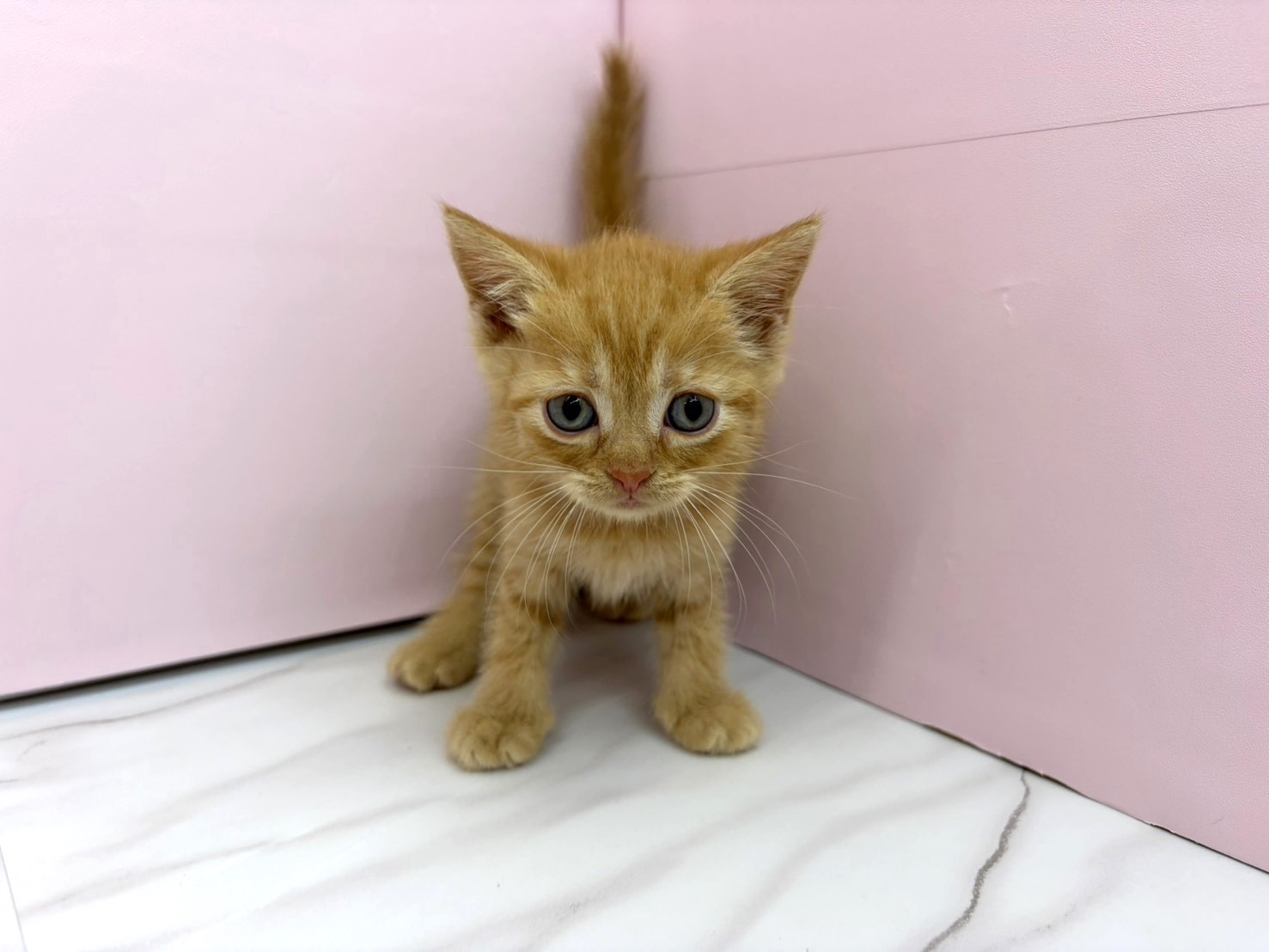 赤ちゃん写真2-1