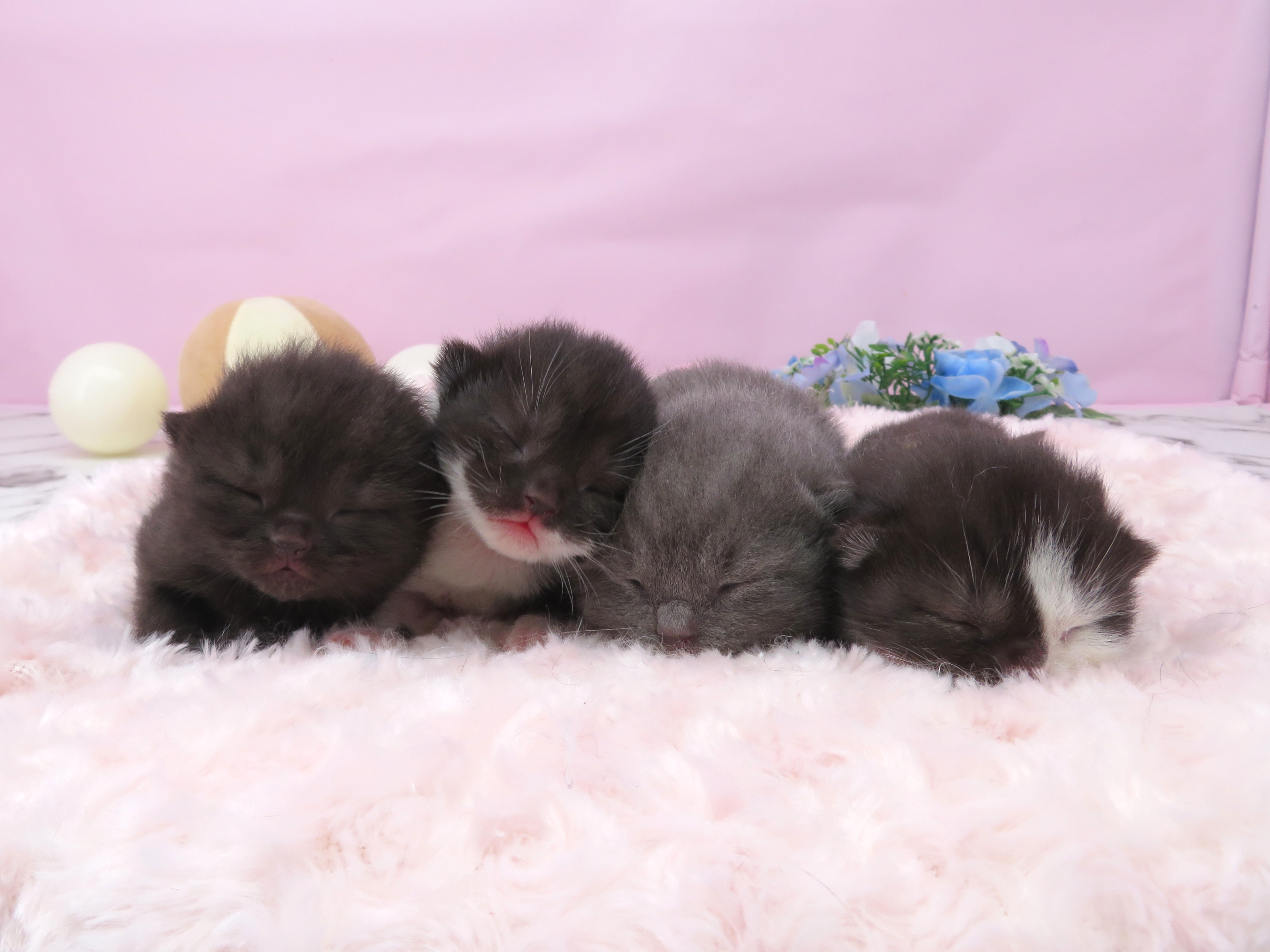 赤ちゃん写真1-3