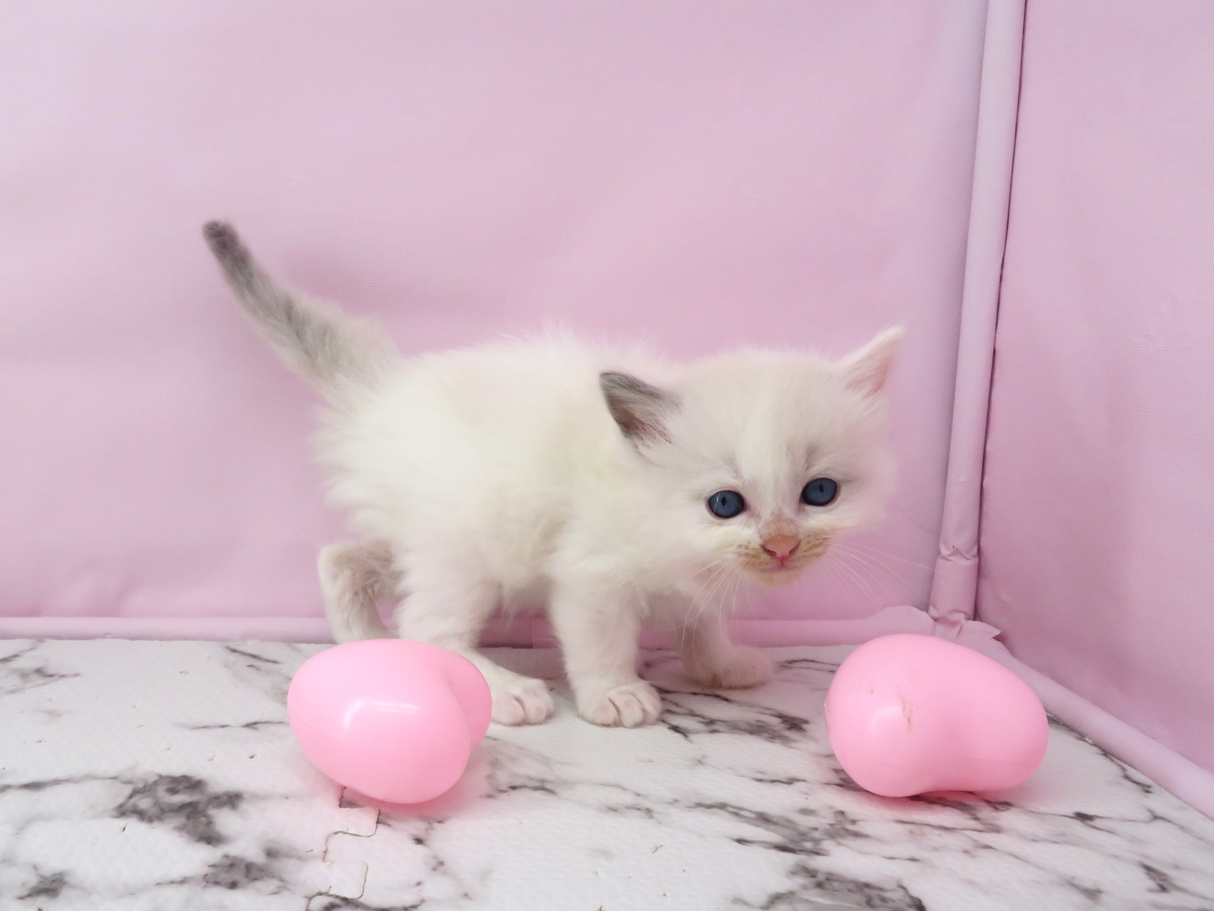 赤ちゃん写真2-2