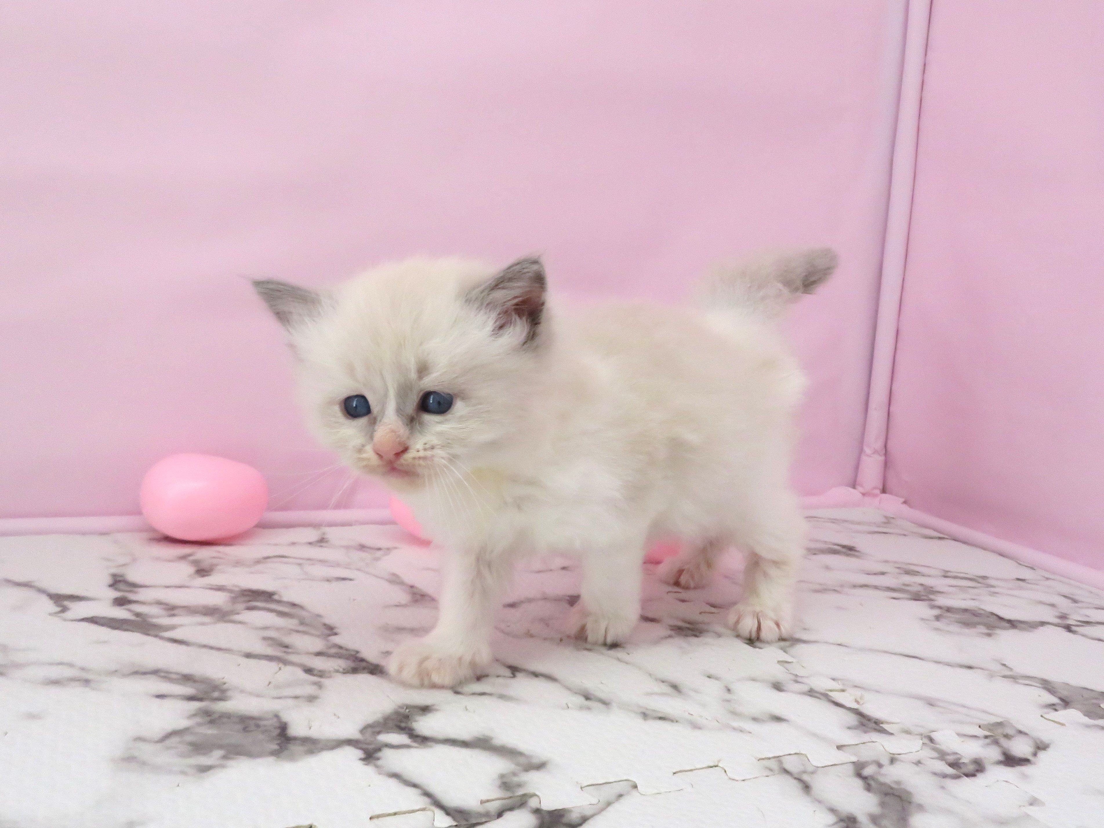 赤ちゃん写真2-2