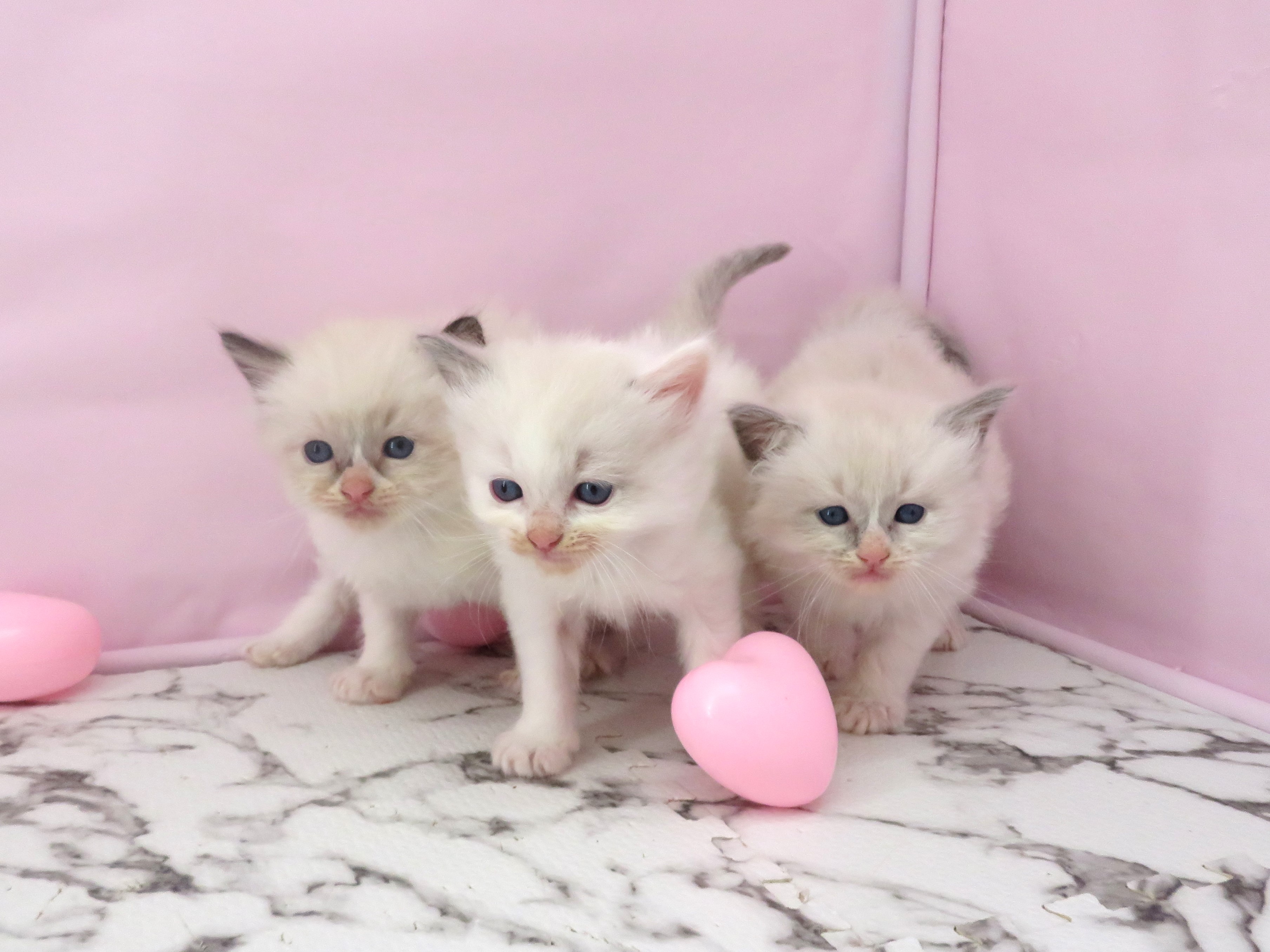 赤ちゃん写真2-3