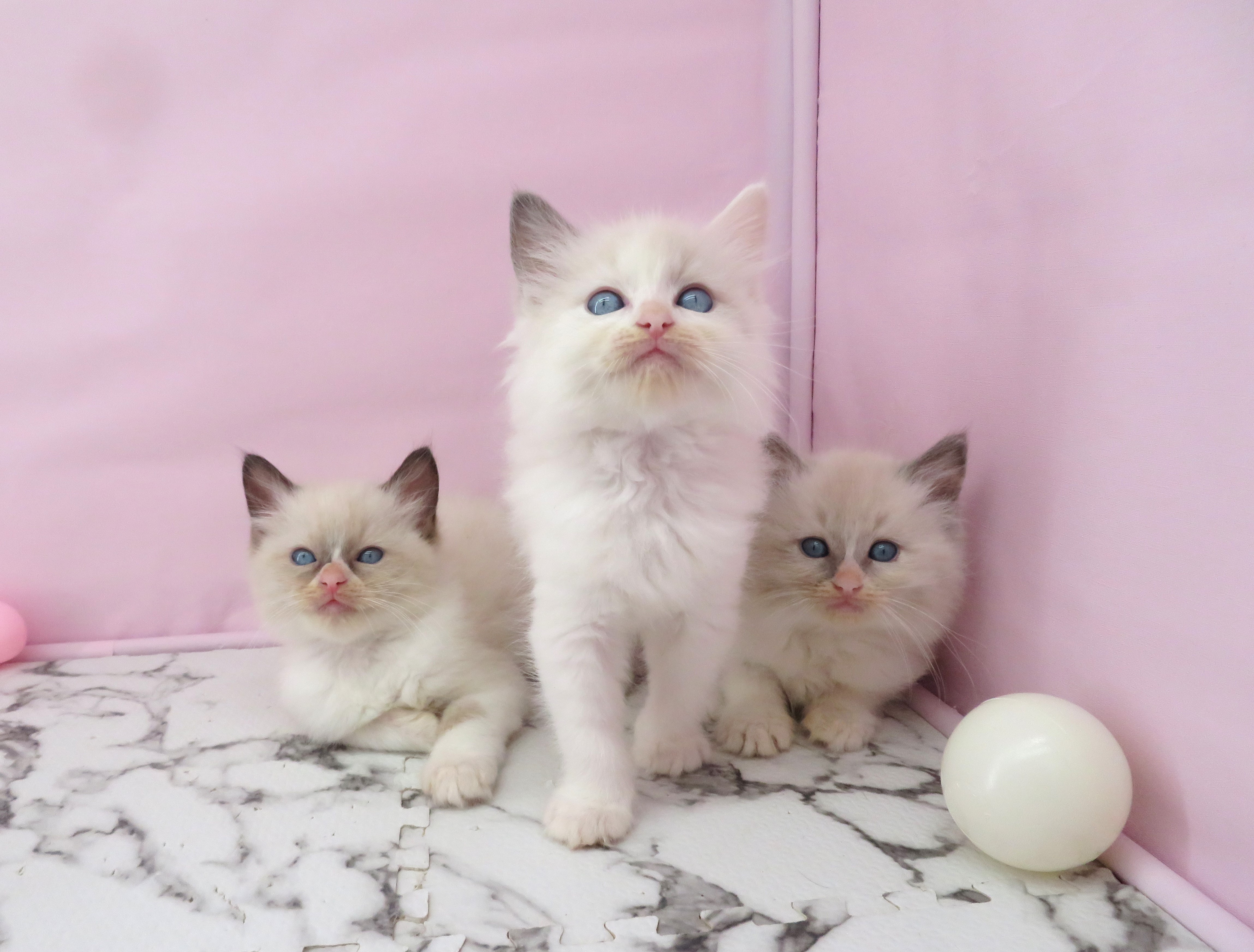 赤ちゃん写真3-3