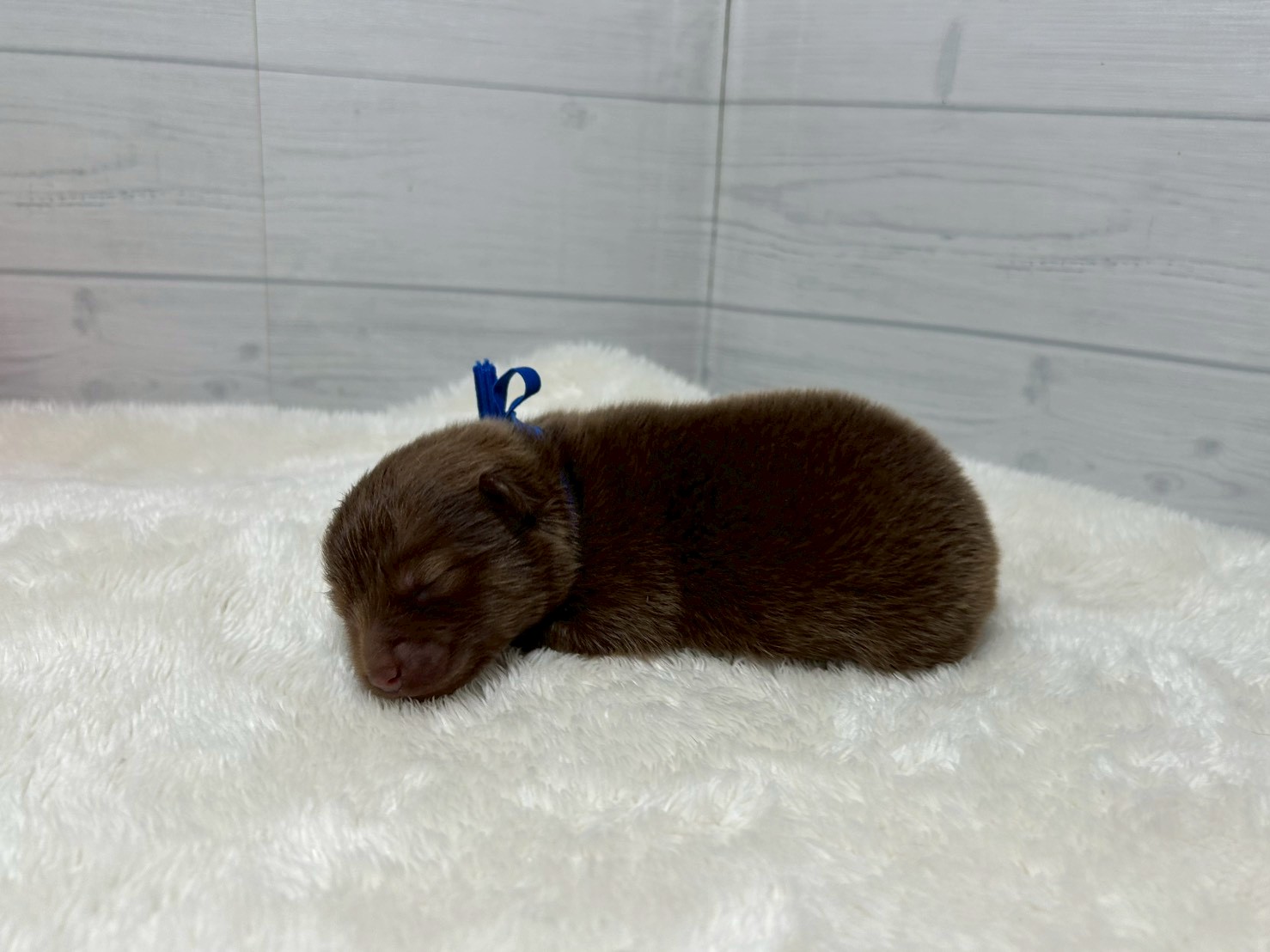 赤ちゃん写真1-2