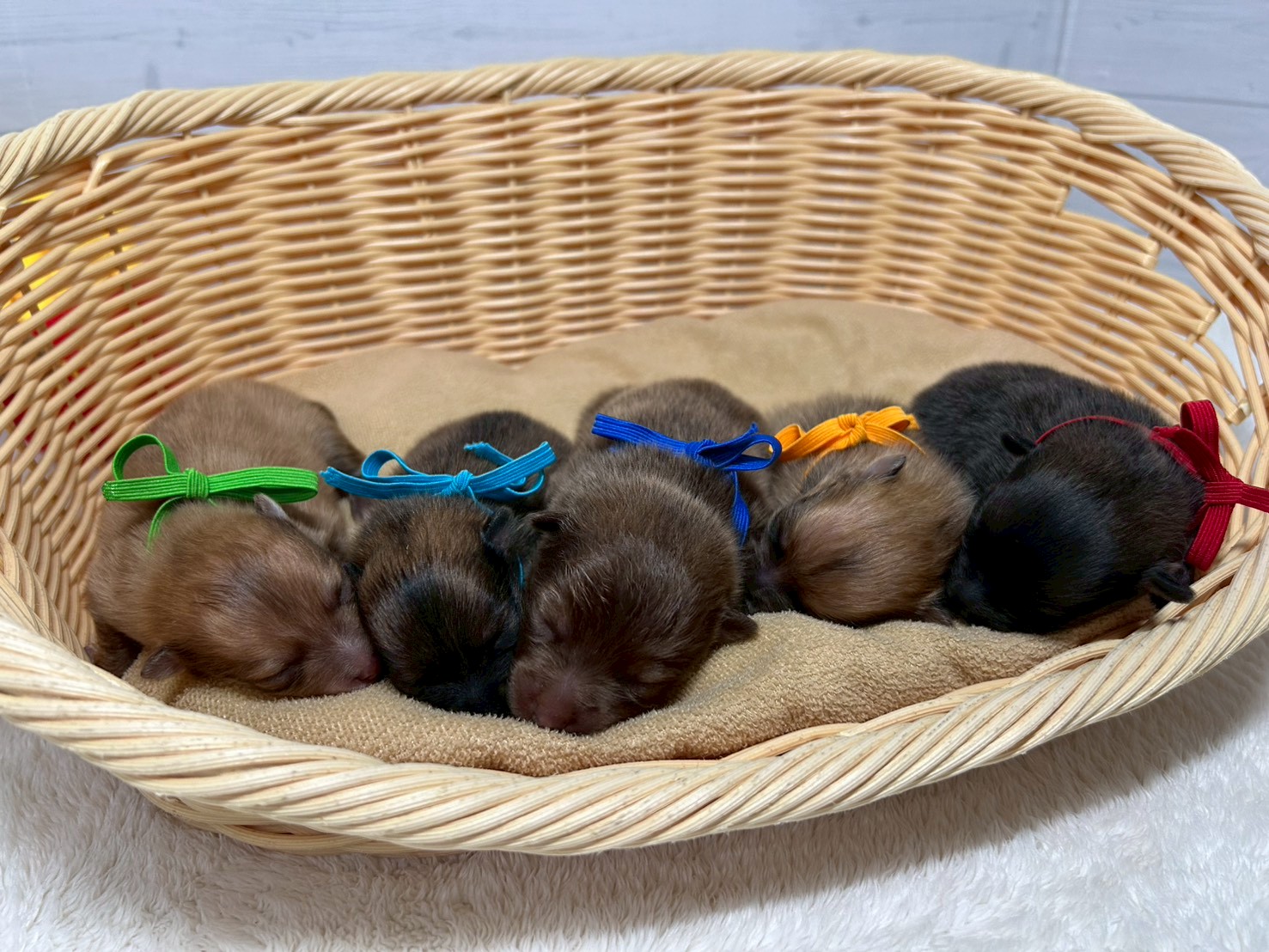 赤ちゃん写真1-3