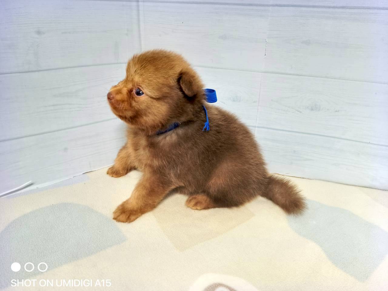 赤ちゃん写真2-2