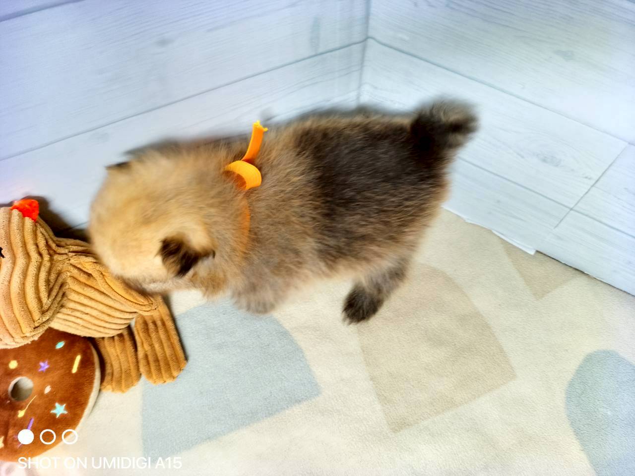 赤ちゃん写真2-3