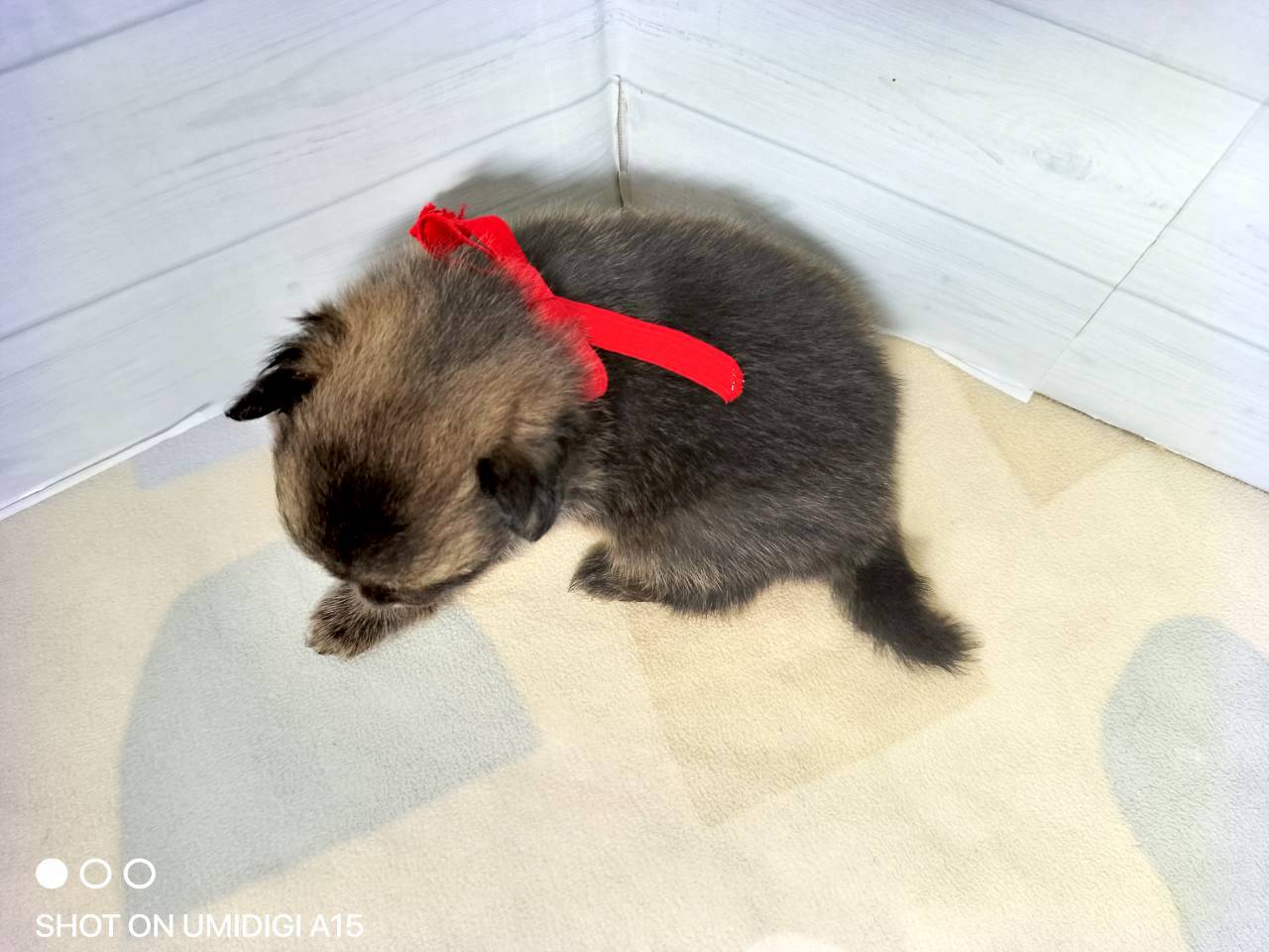 赤ちゃん写真2-3
