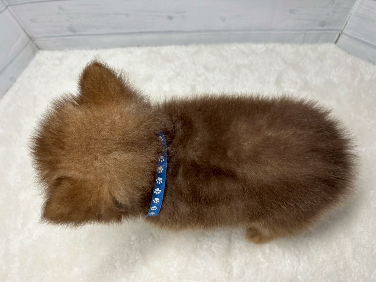 赤ちゃん写真3-3