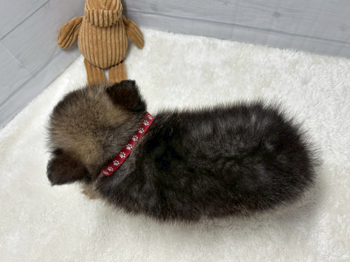 赤ちゃん写真3-3