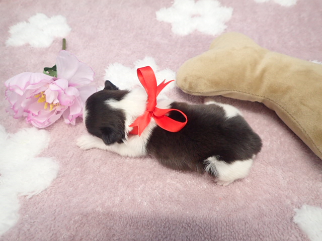 赤ちゃん写真1-3