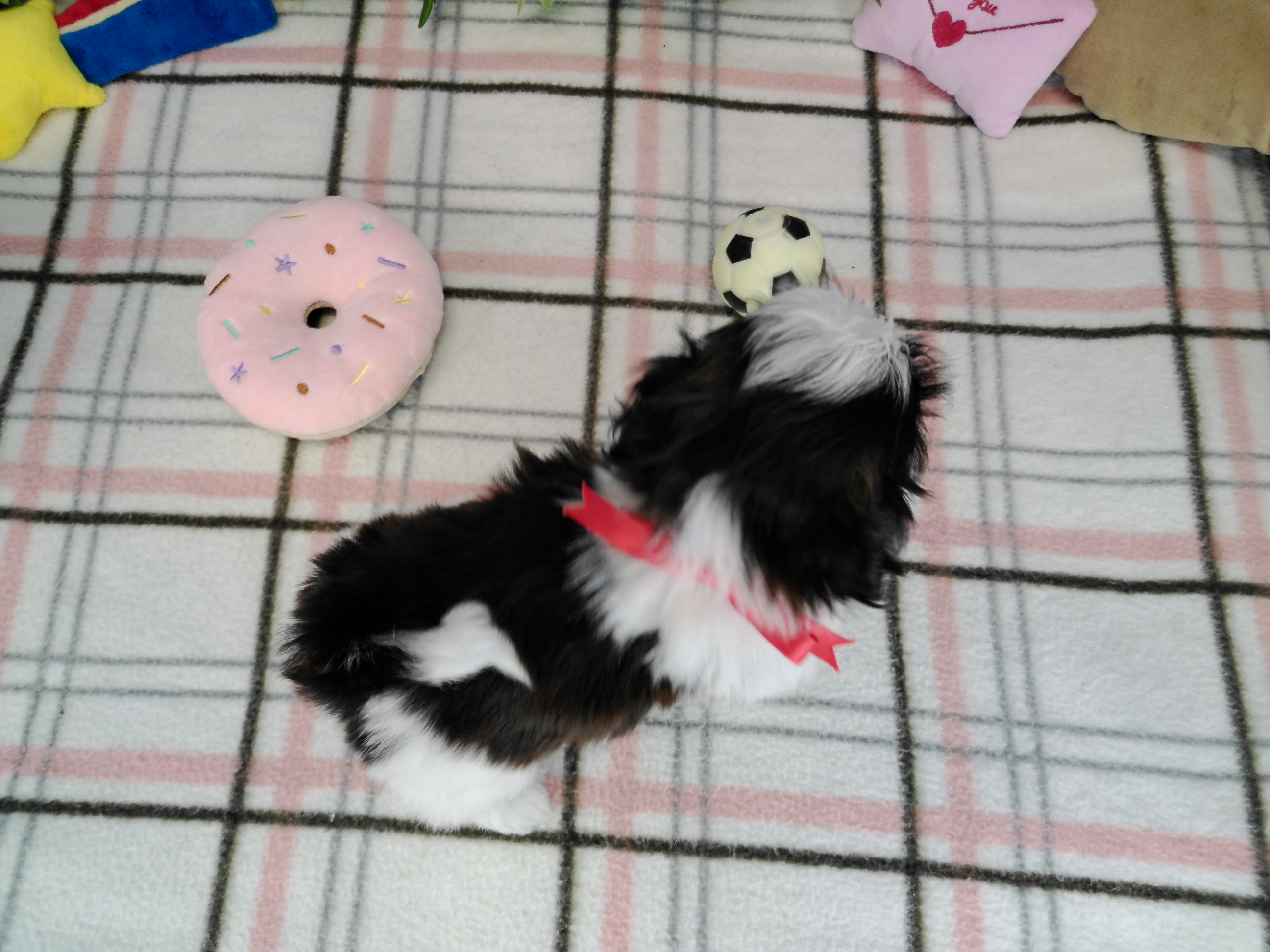 赤ちゃん写真3-3