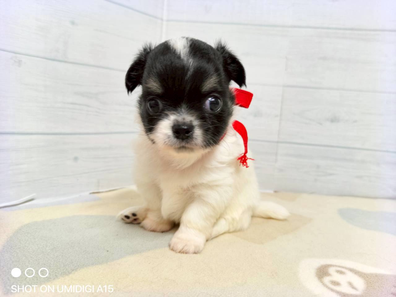 赤ちゃん写真2-1