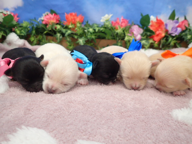 赤ちゃん写真1-3