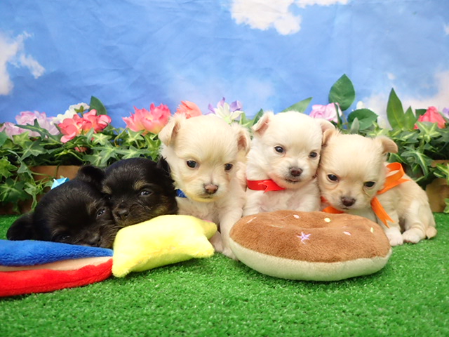 赤ちゃん写真2-3