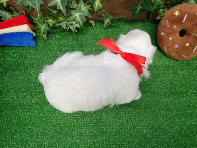 赤ちゃん写真2-3
