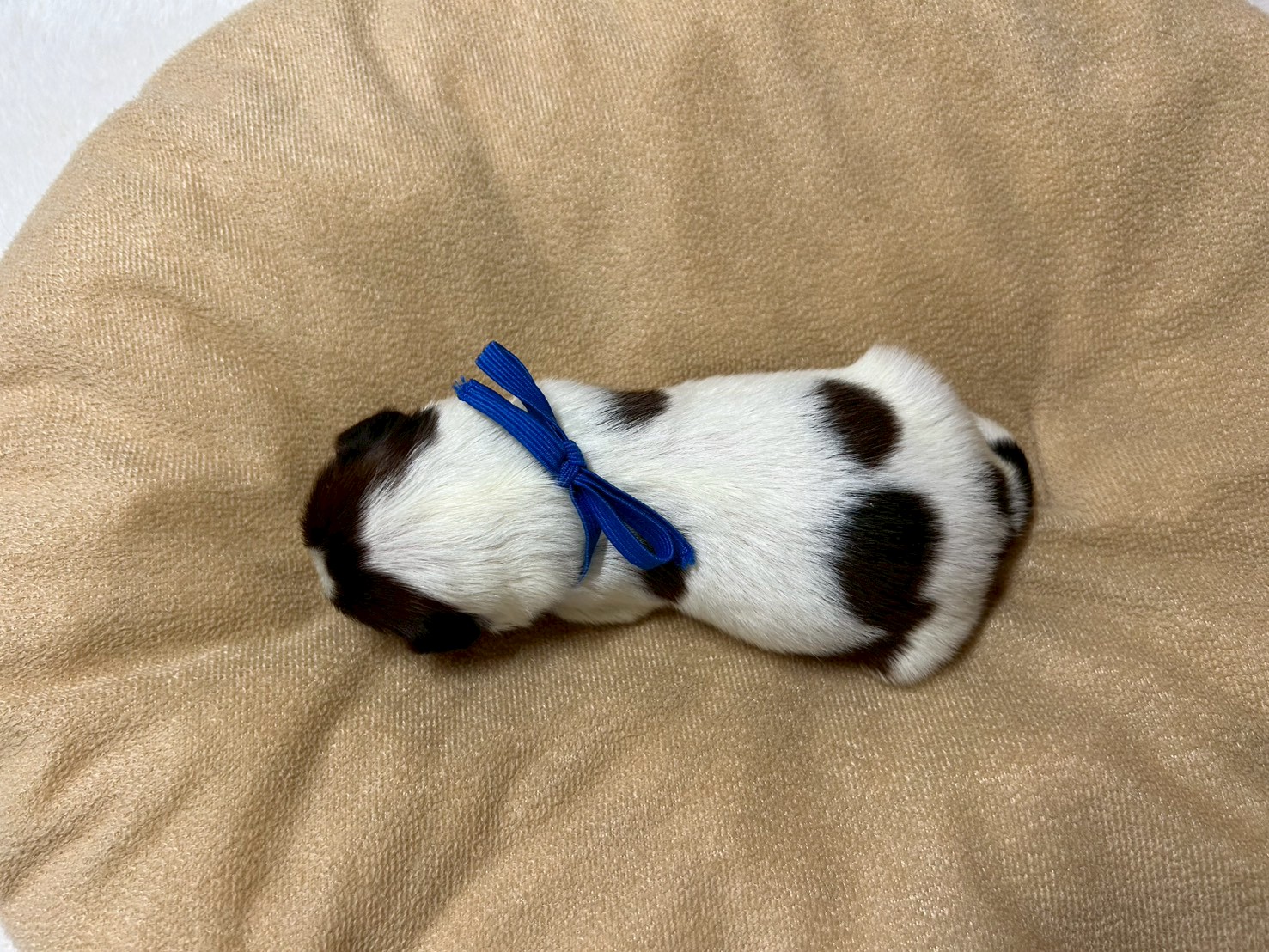 赤ちゃん写真1-3