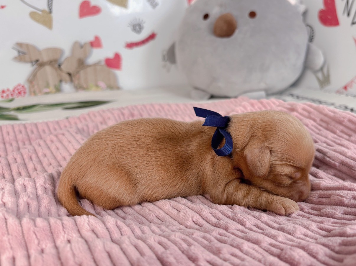 赤ちゃん写真1-2