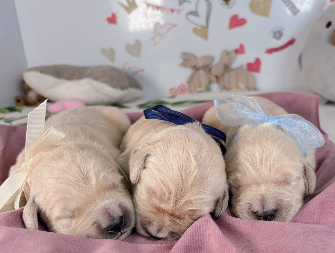 赤ちゃん写真1-3