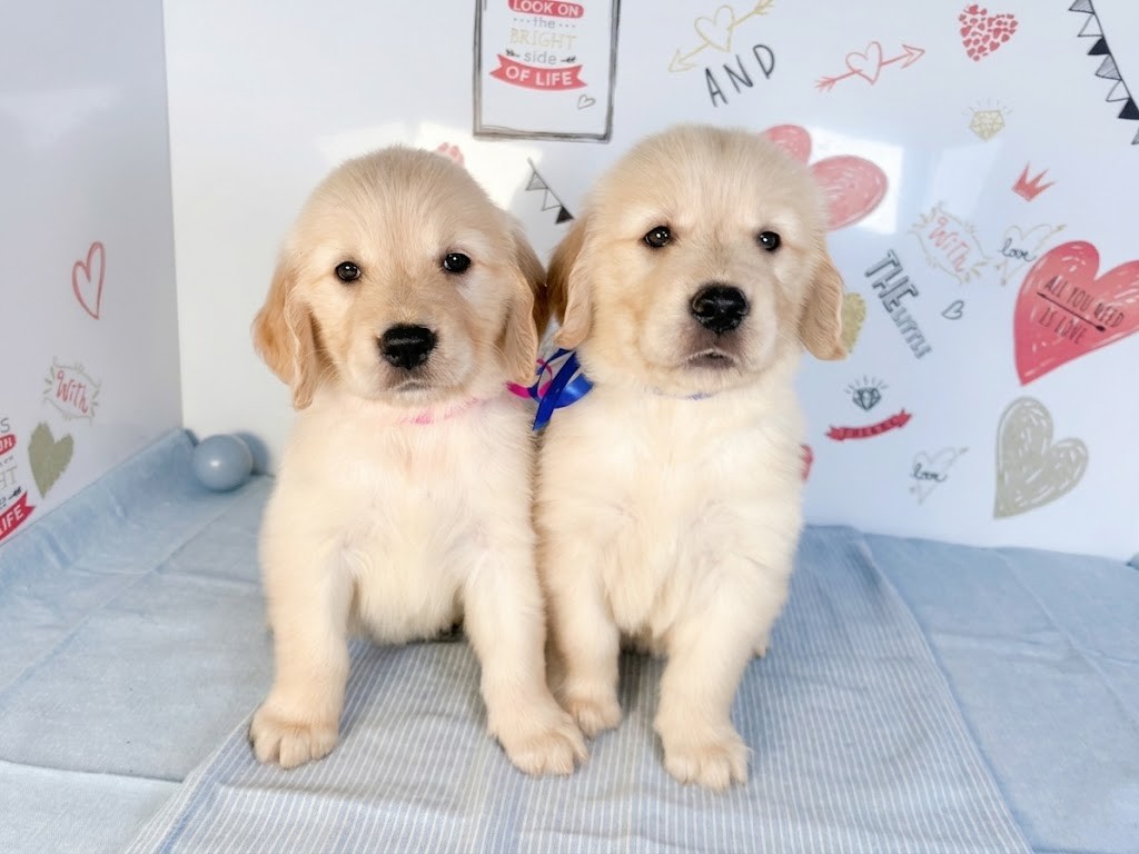赤ちゃん写真2-3