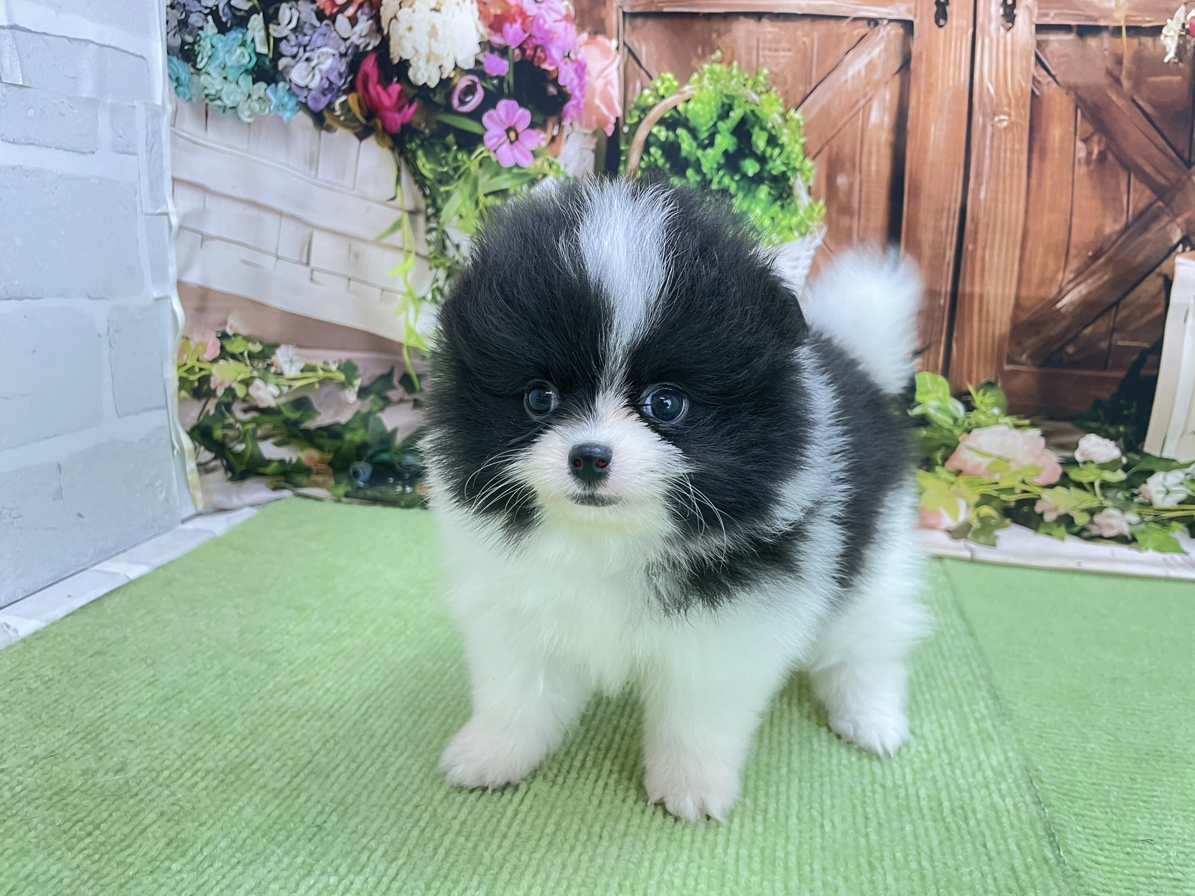 赤ちゃん写真2-1