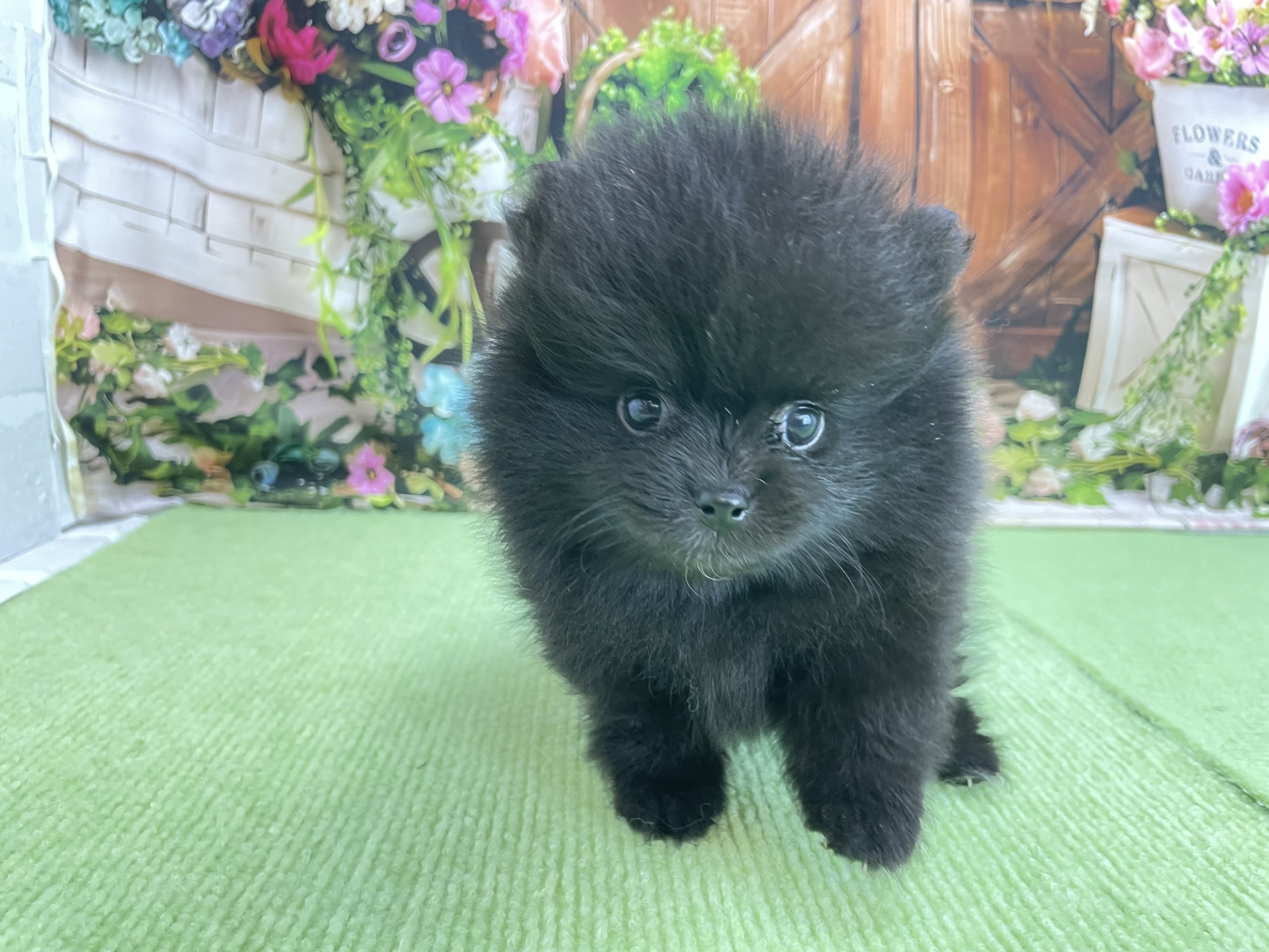 赤ちゃん写真2-1