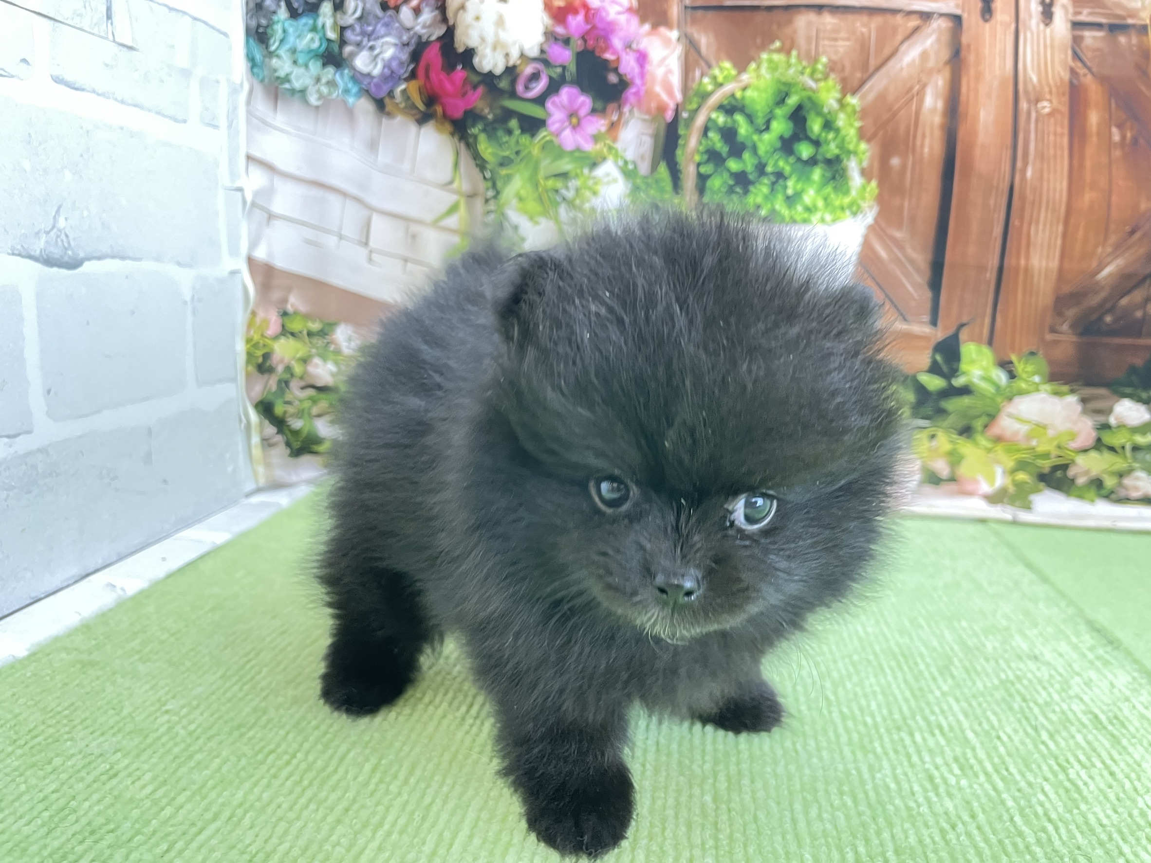 赤ちゃん写真2-2