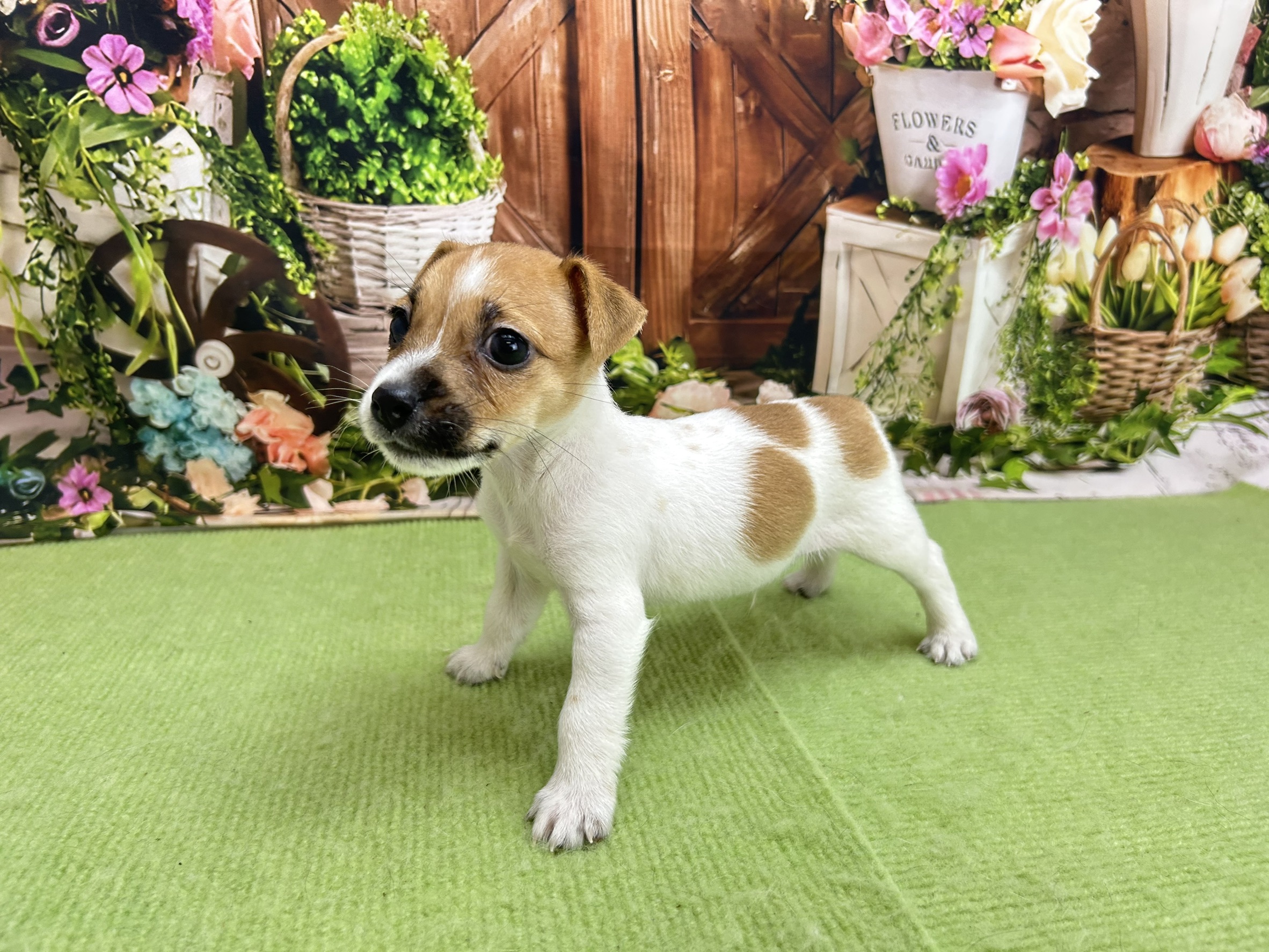 赤ちゃん写真2-2