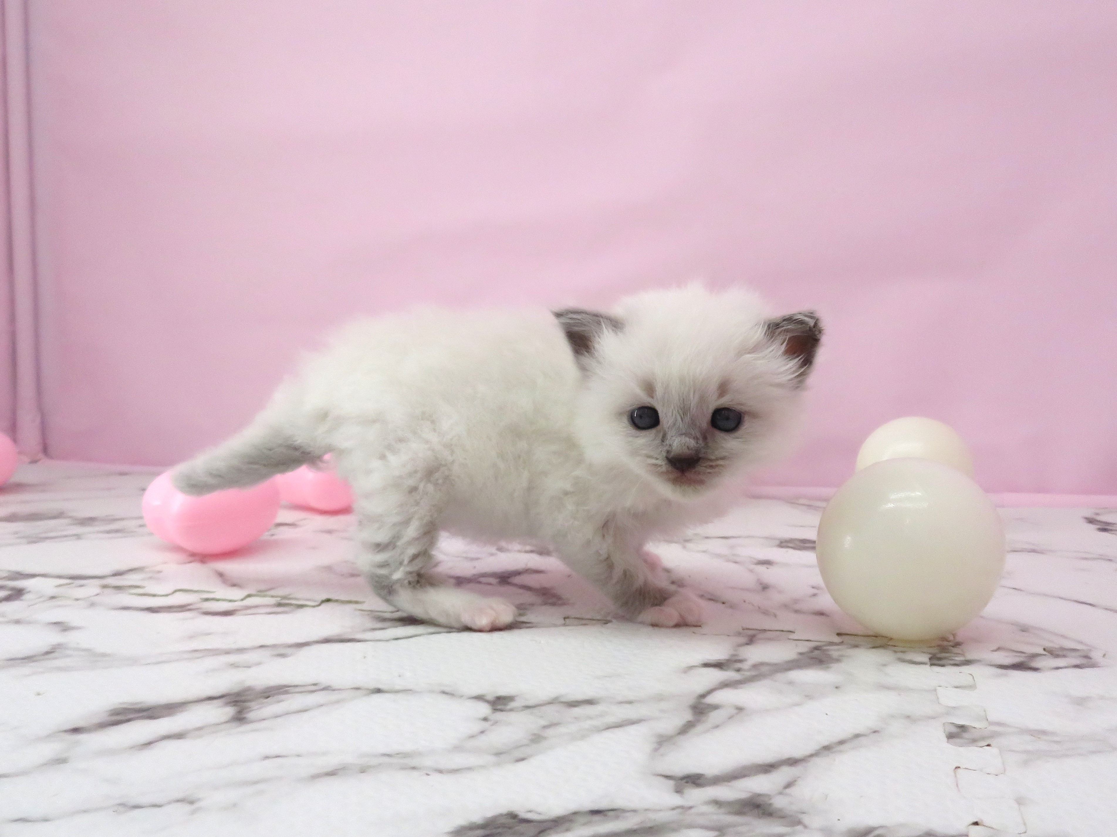 赤ちゃん写真1-2