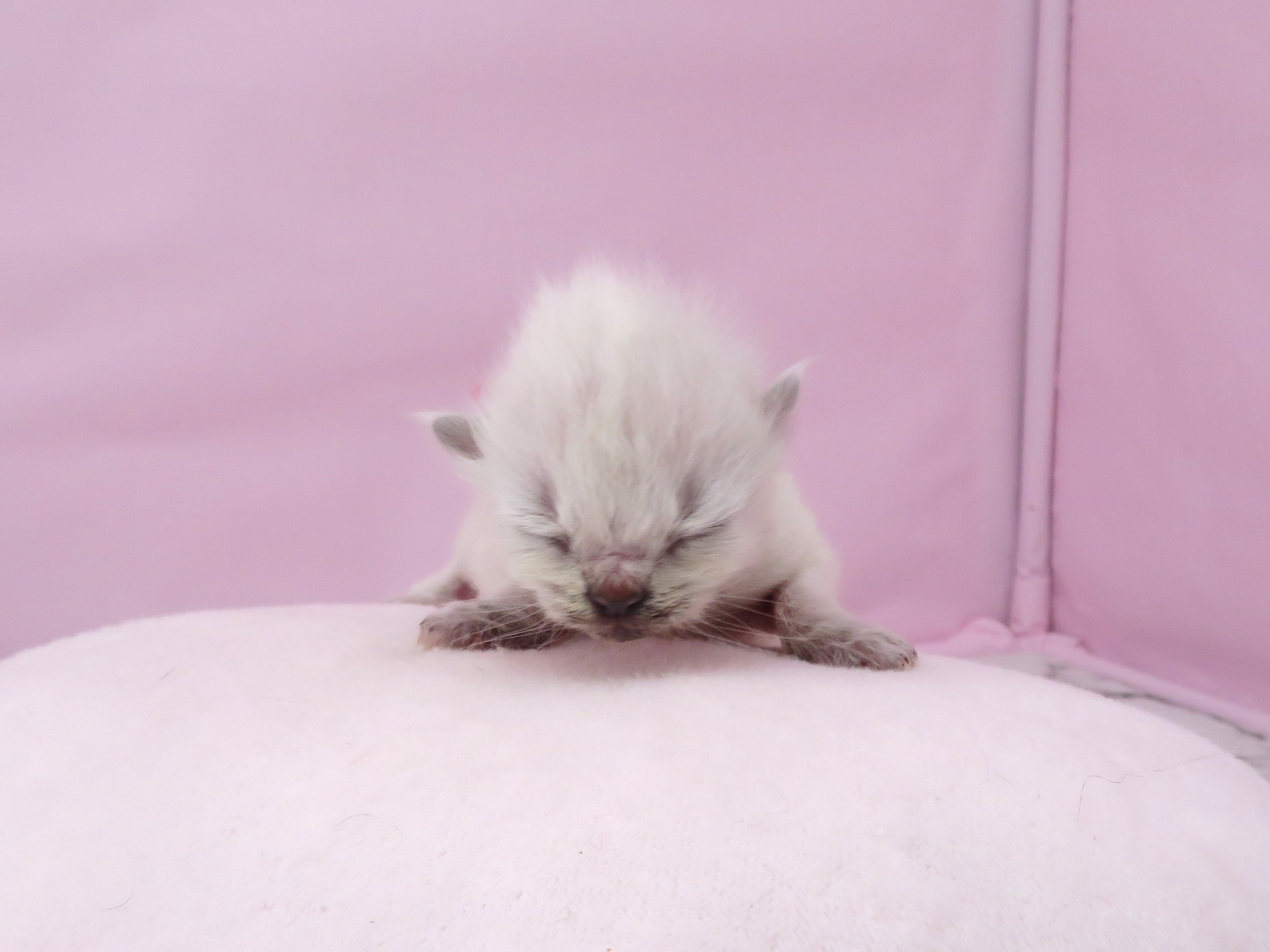 赤ちゃん写真1-1
