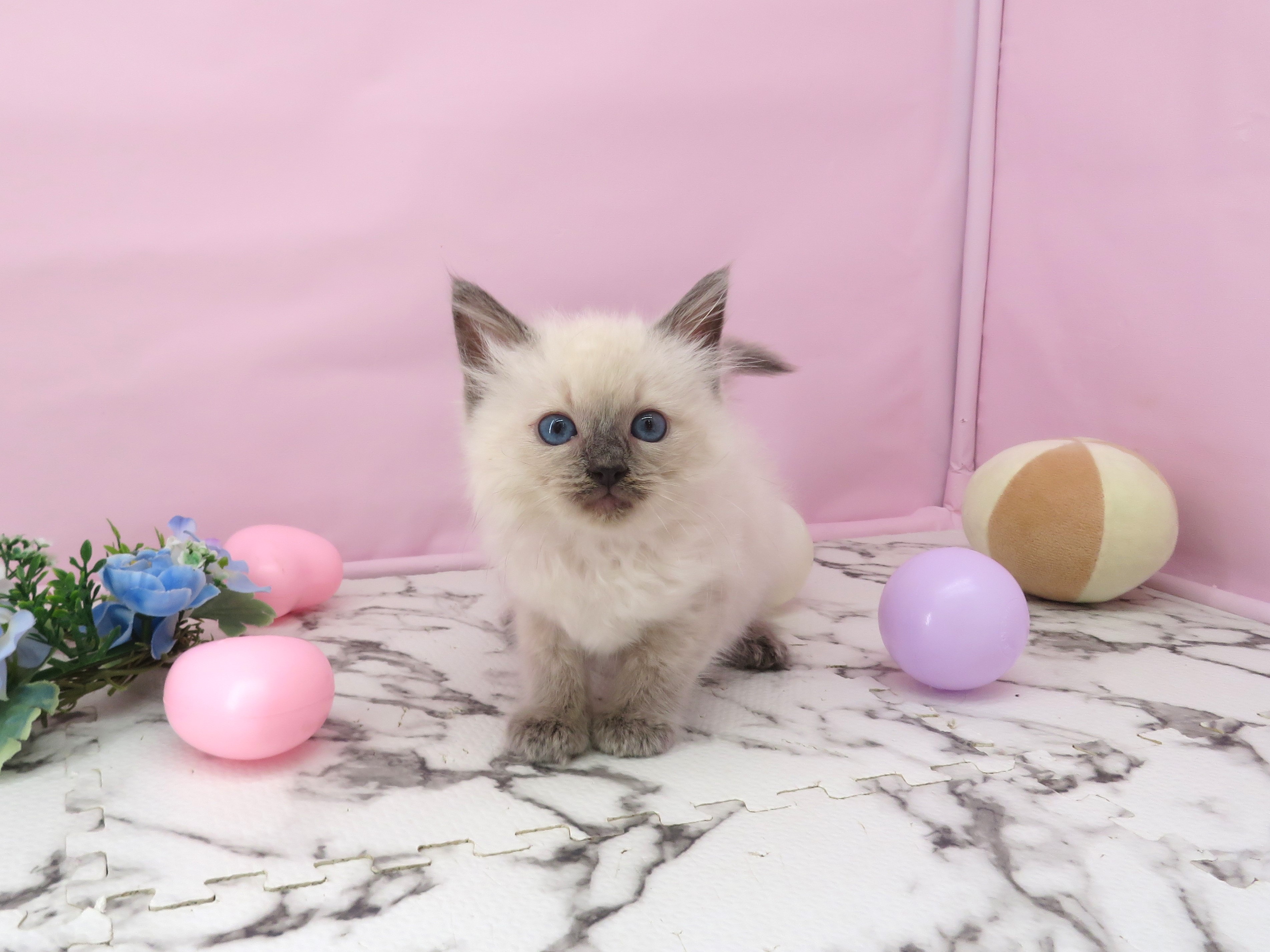 赤ちゃん写真3-1