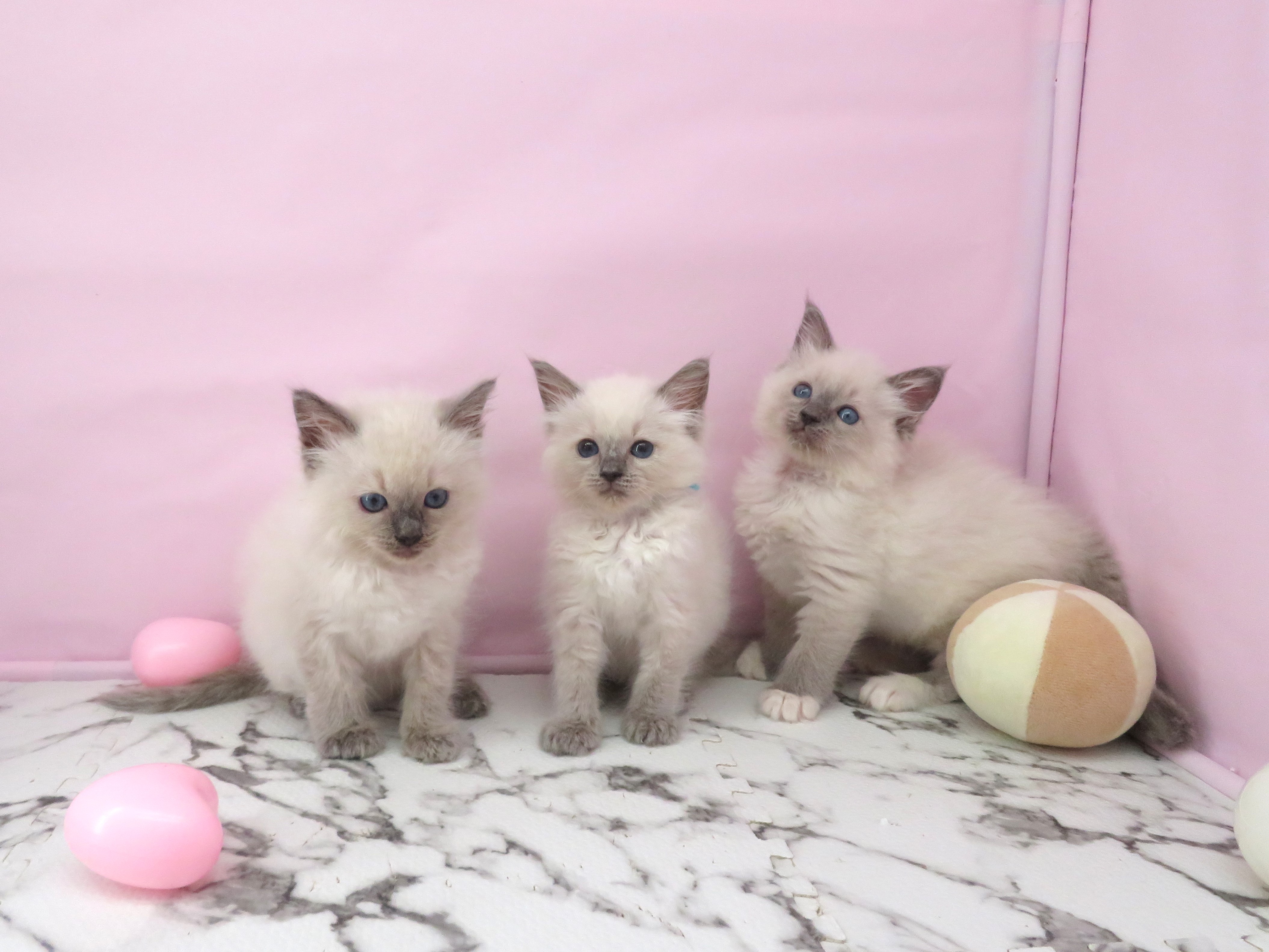 赤ちゃん写真3-3