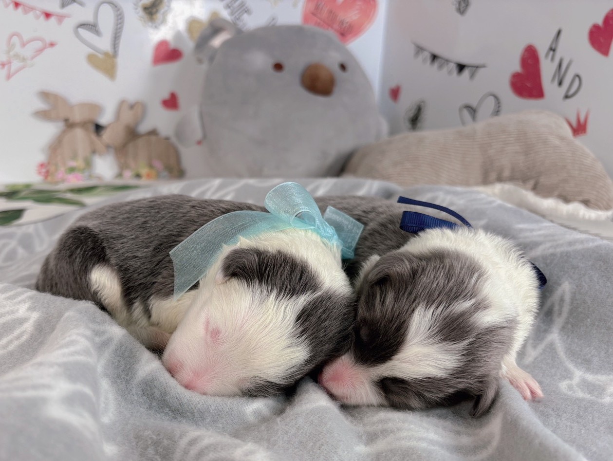 赤ちゃん写真1-3