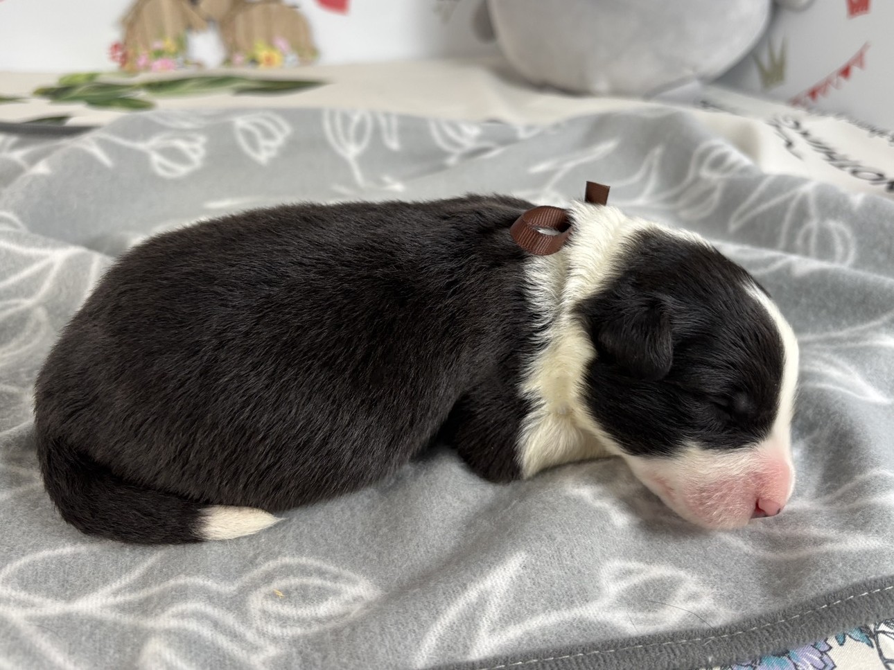 赤ちゃん写真1-2