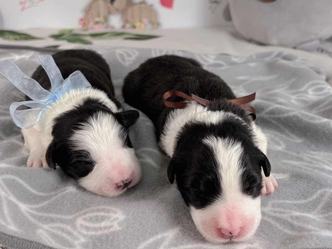 赤ちゃん写真1-3