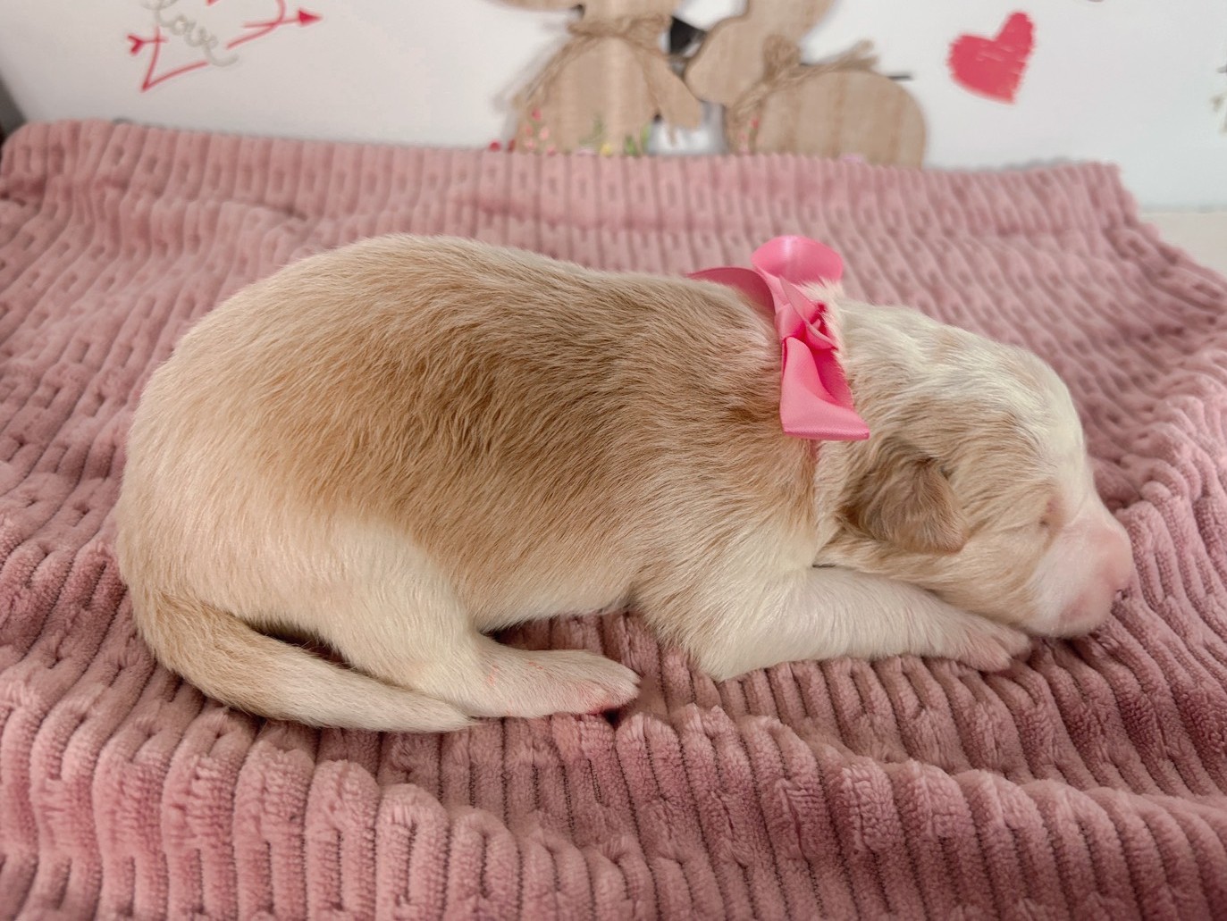 赤ちゃん写真1-2