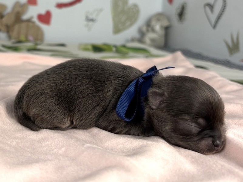 赤ちゃん写真1-2