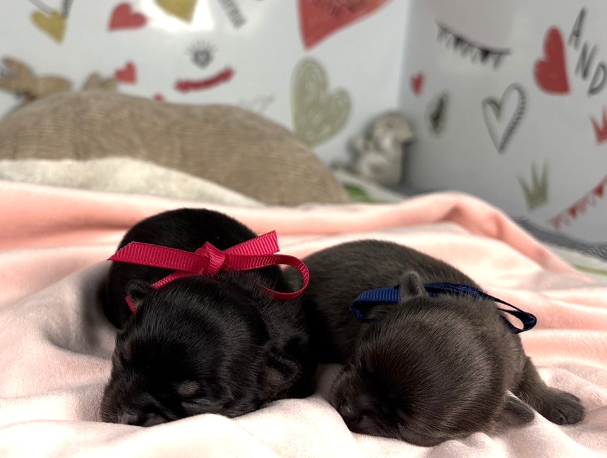 赤ちゃん写真1-3