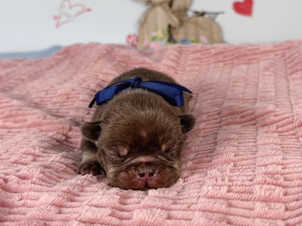 赤ちゃん写真1-1